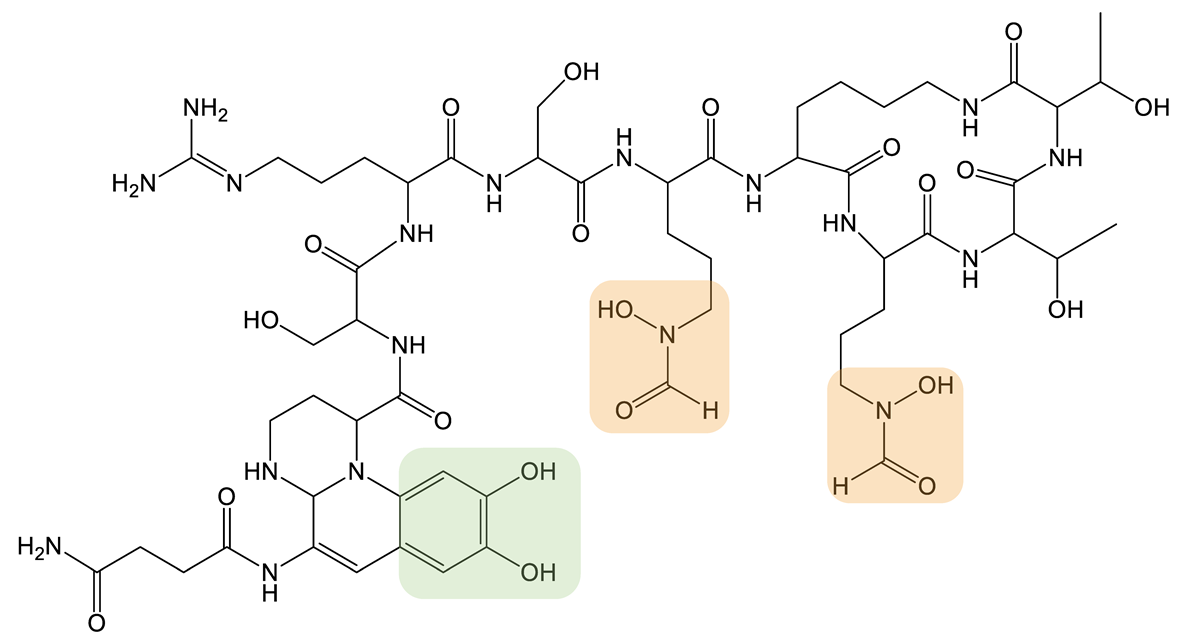 Biomolecules 13 00959 i023