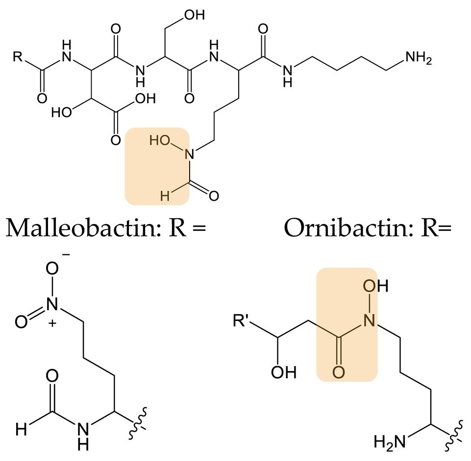 Biomolecules 13 00959 i025