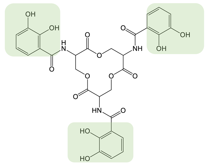 Biomolecules 13 00959 i026