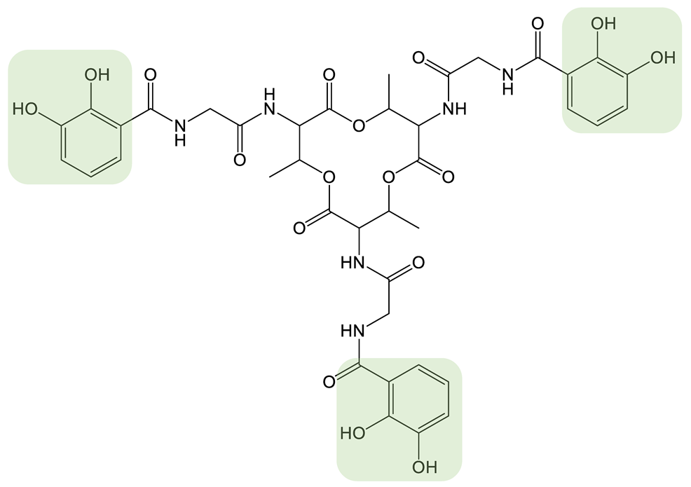 Biomolecules 13 00959 i027