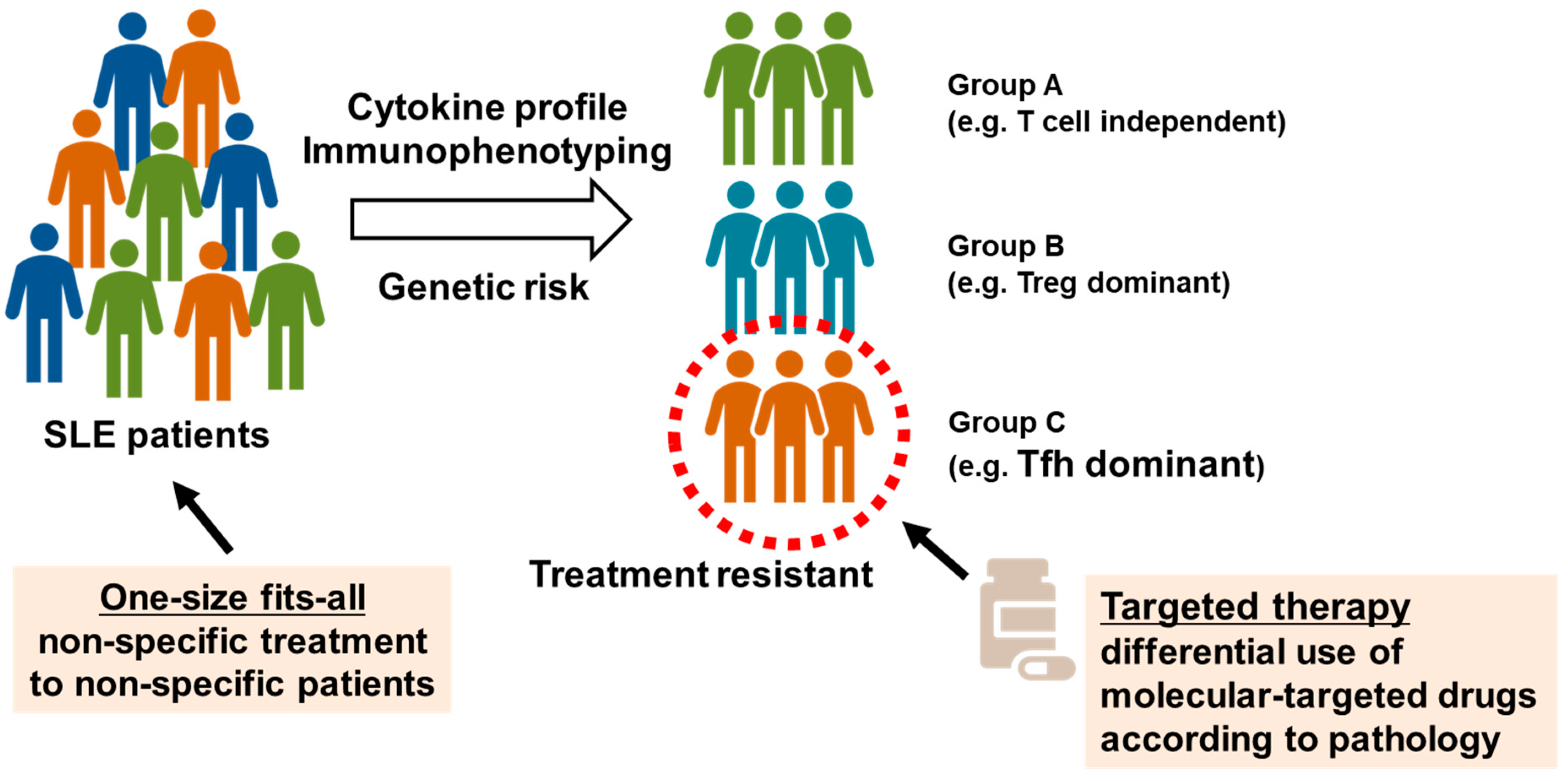Biomolecules 13 00960 g002