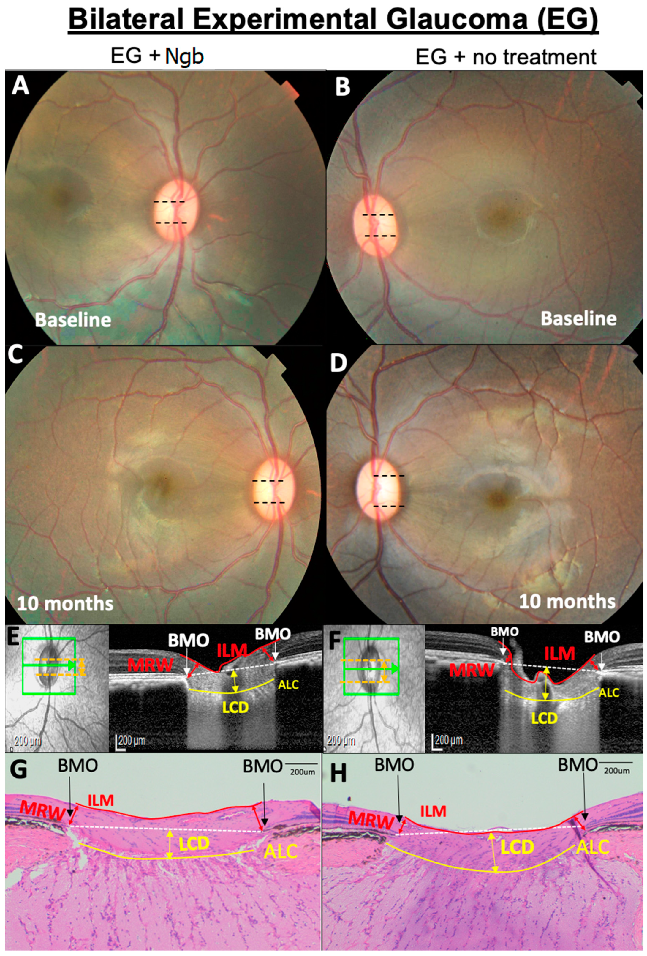 Biomolecules 13 00961 g001