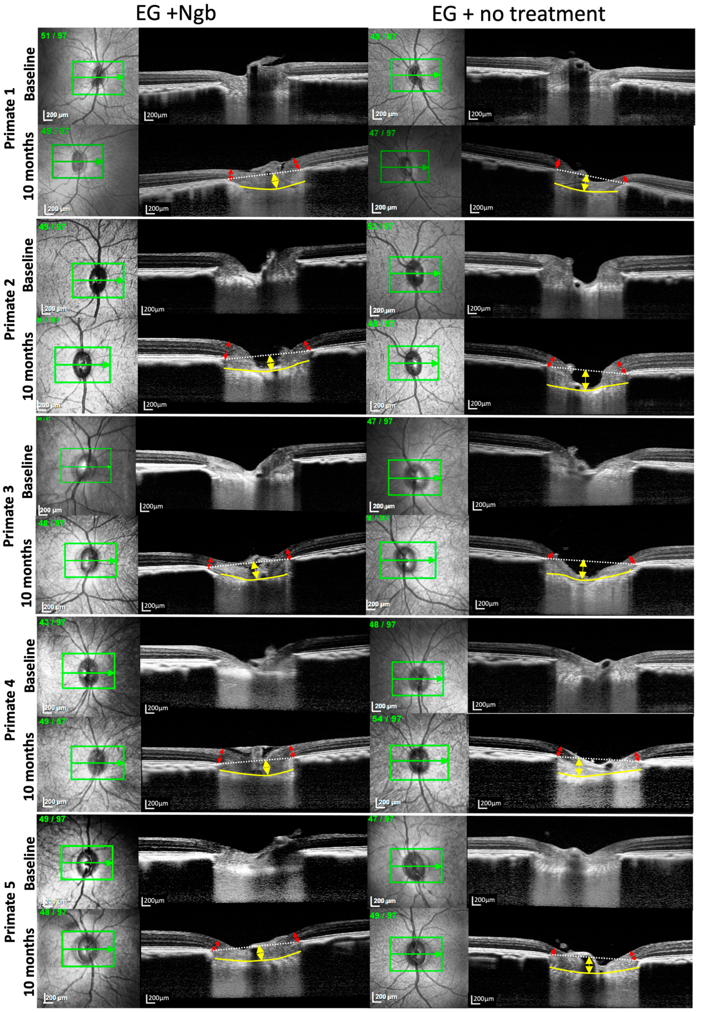 Biomolecules 13 00961 g002