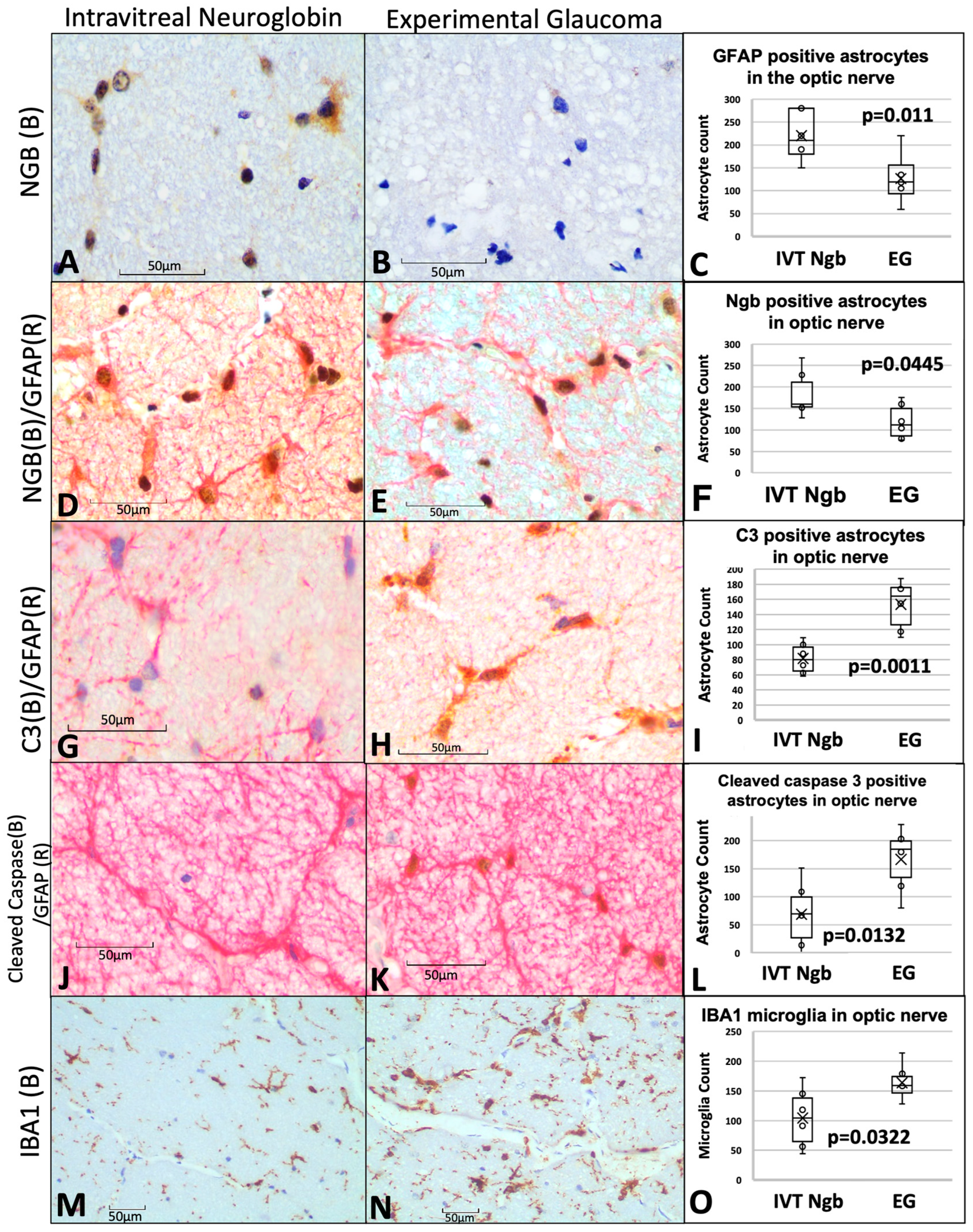 Biomolecules 13 00961 g004