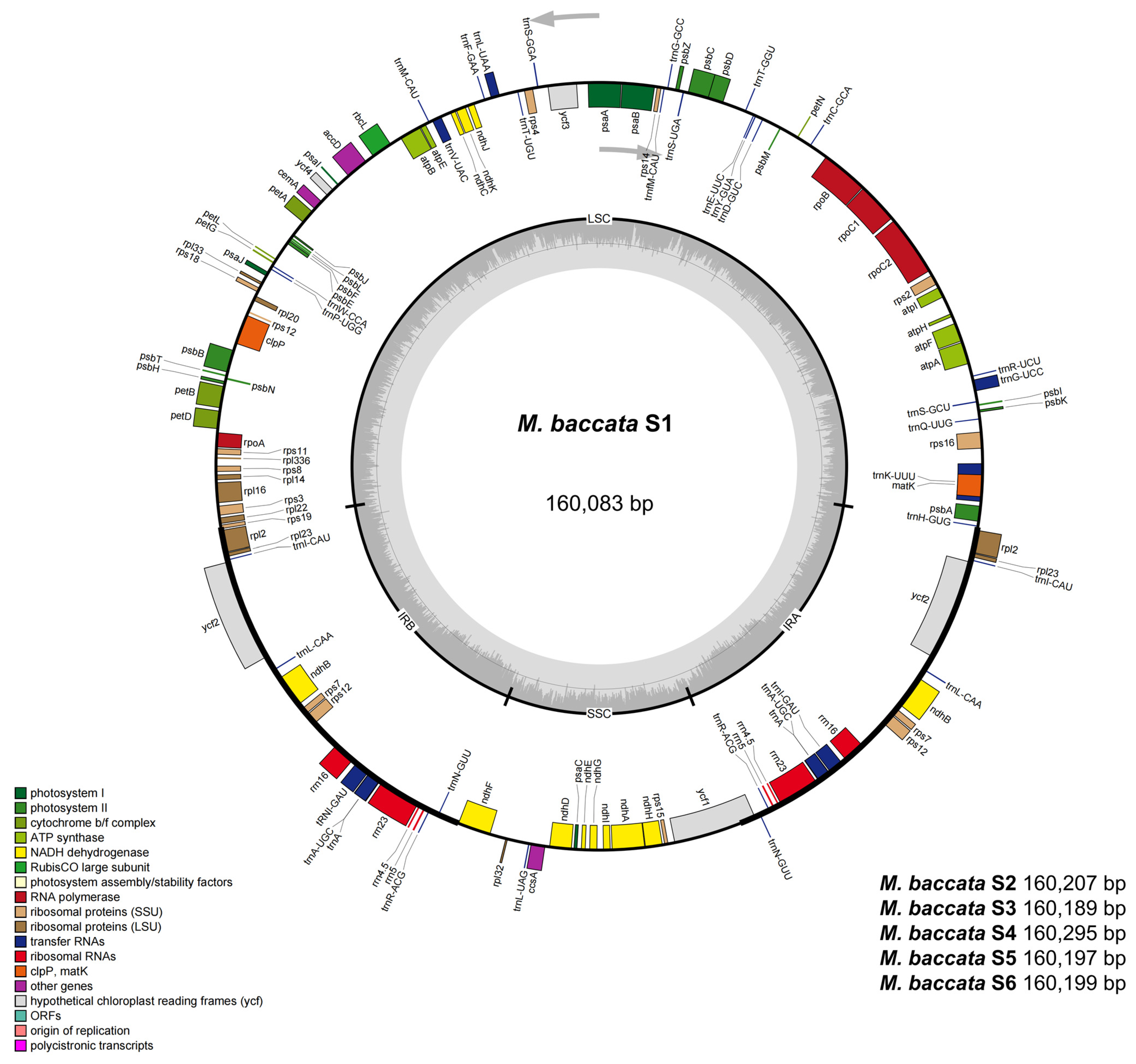 Biomolecules 13 00962 g003