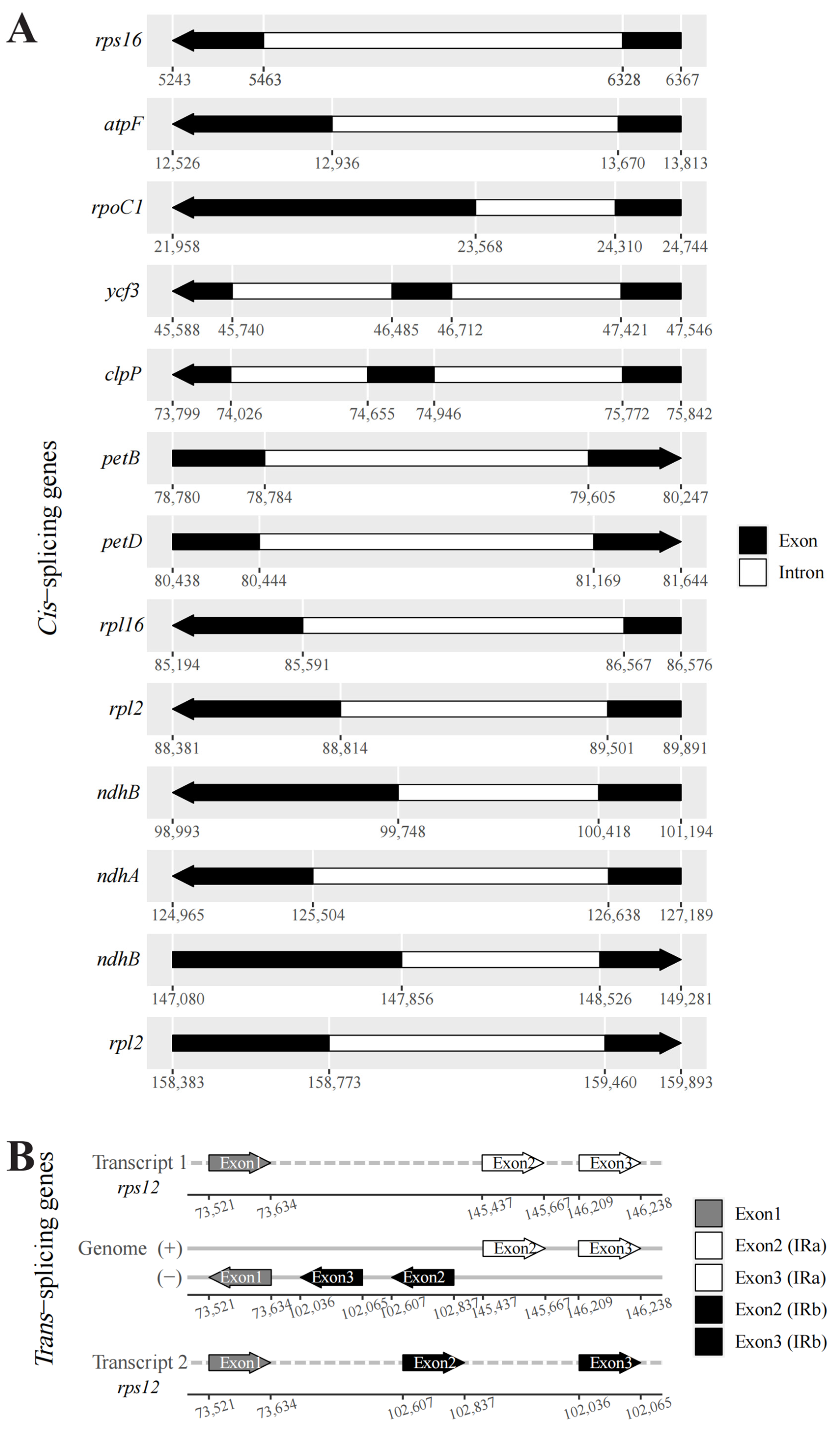 Biomolecules 13 00962 g004