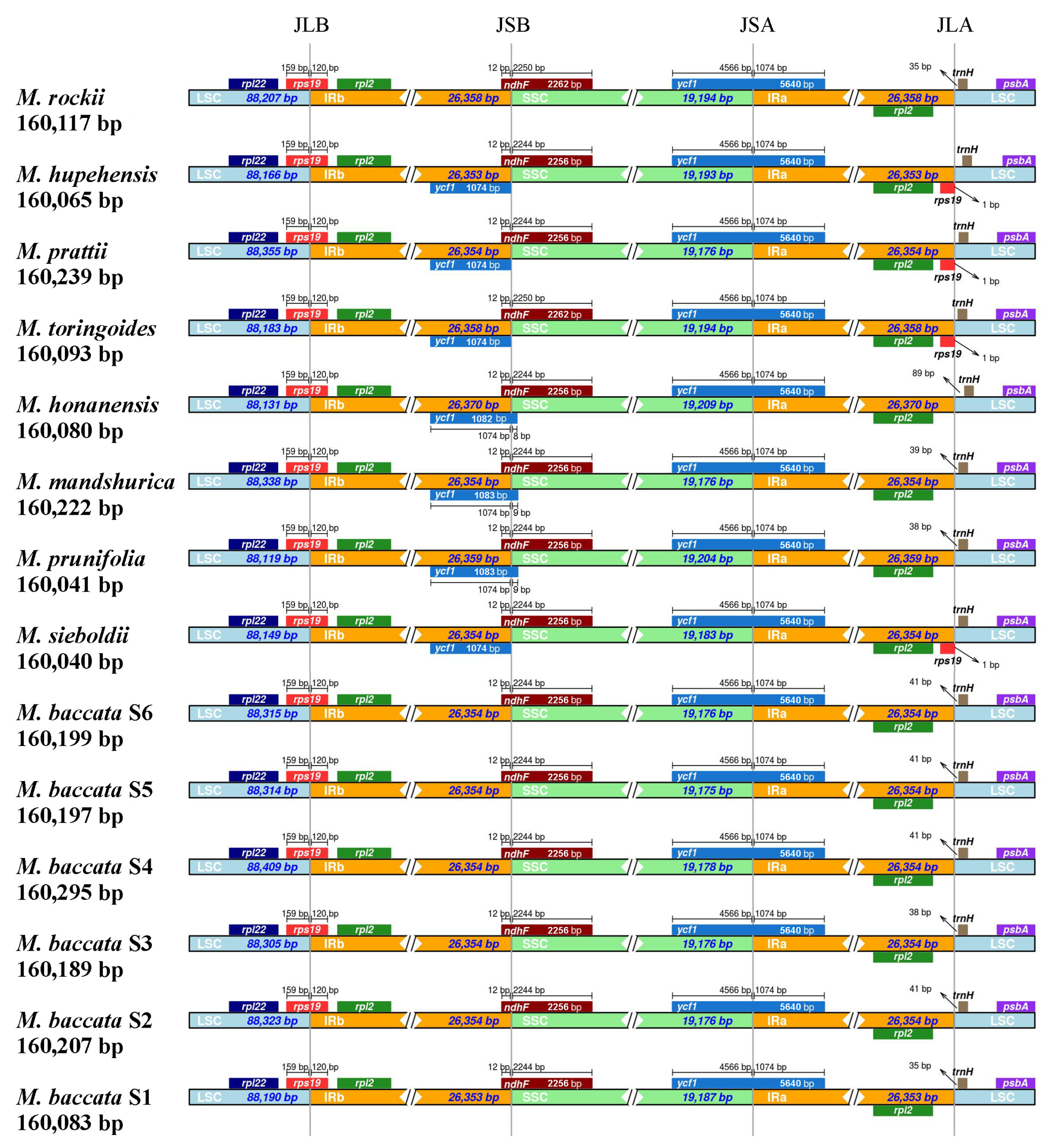 Biomolecules 13 00962 g007