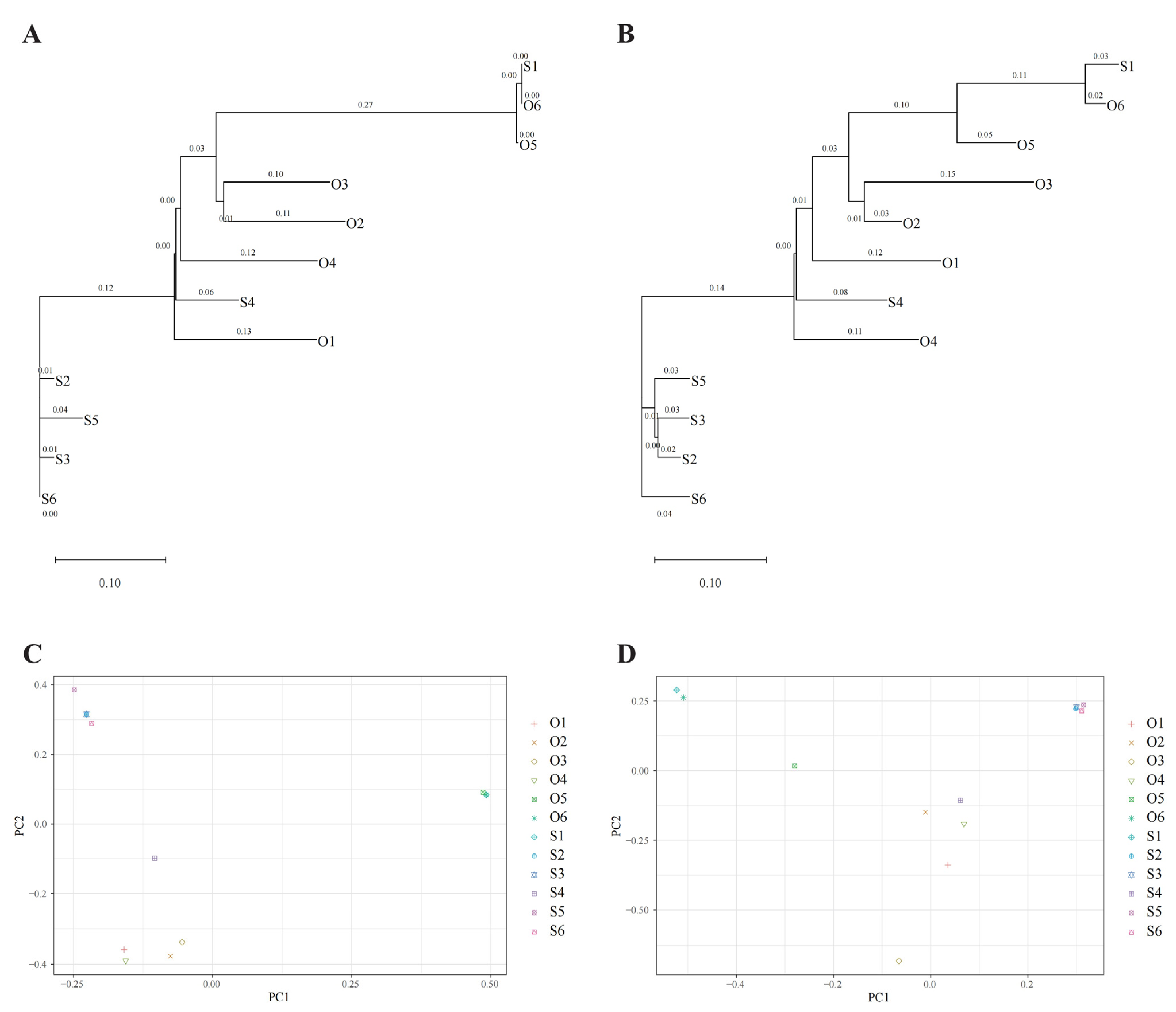 Biomolecules 13 00962 g008