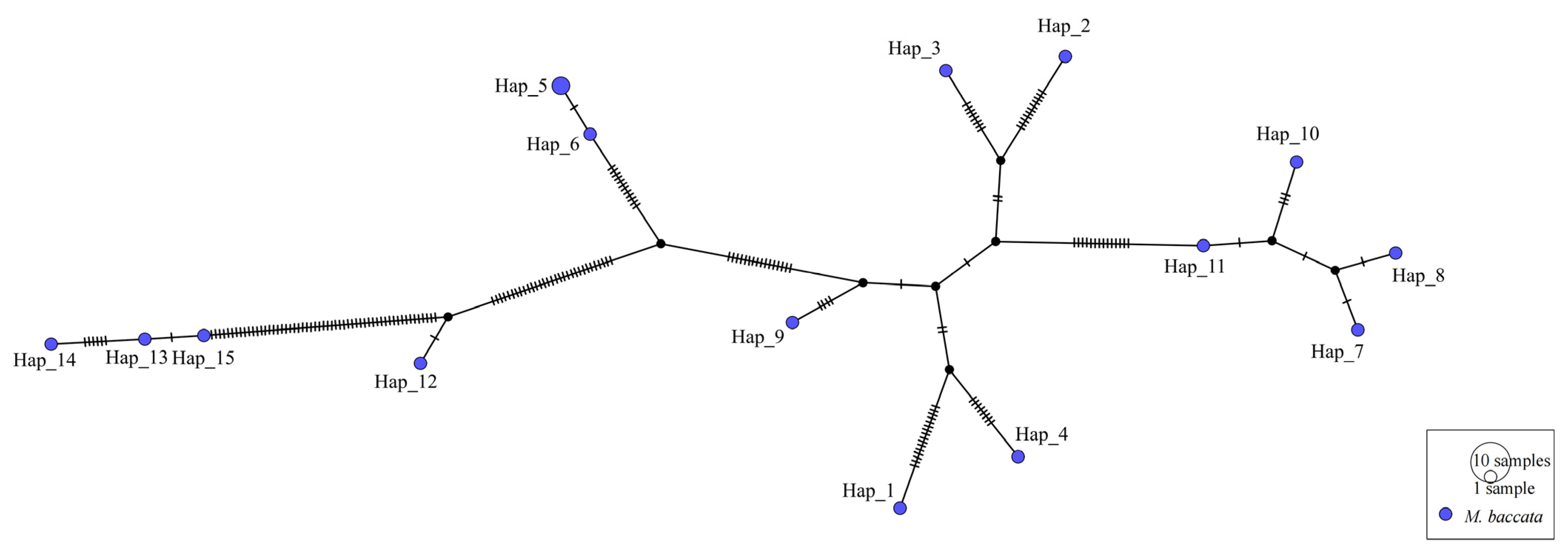 Biomolecules 13 00962 g009