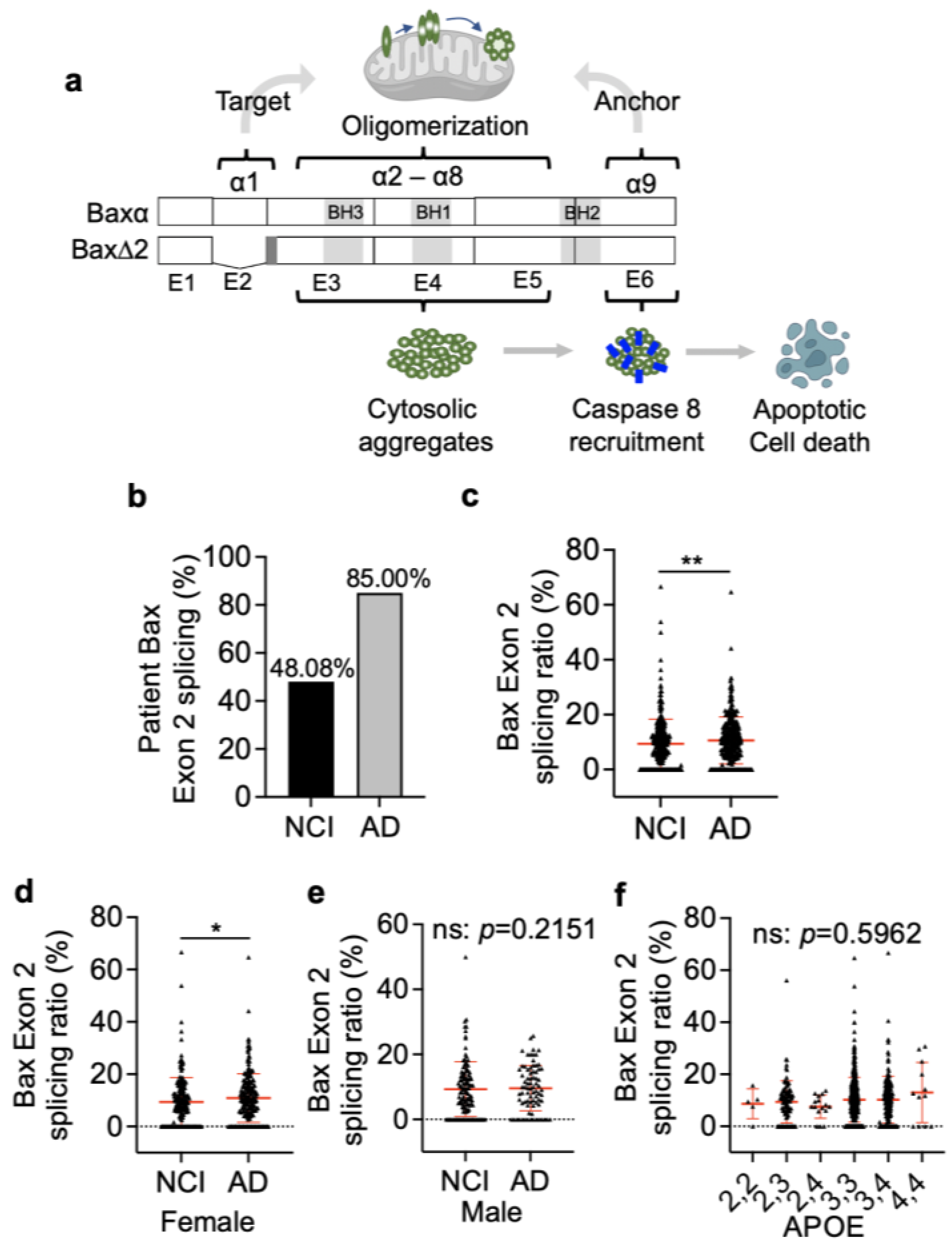 Biomolecules 13 00970 g001