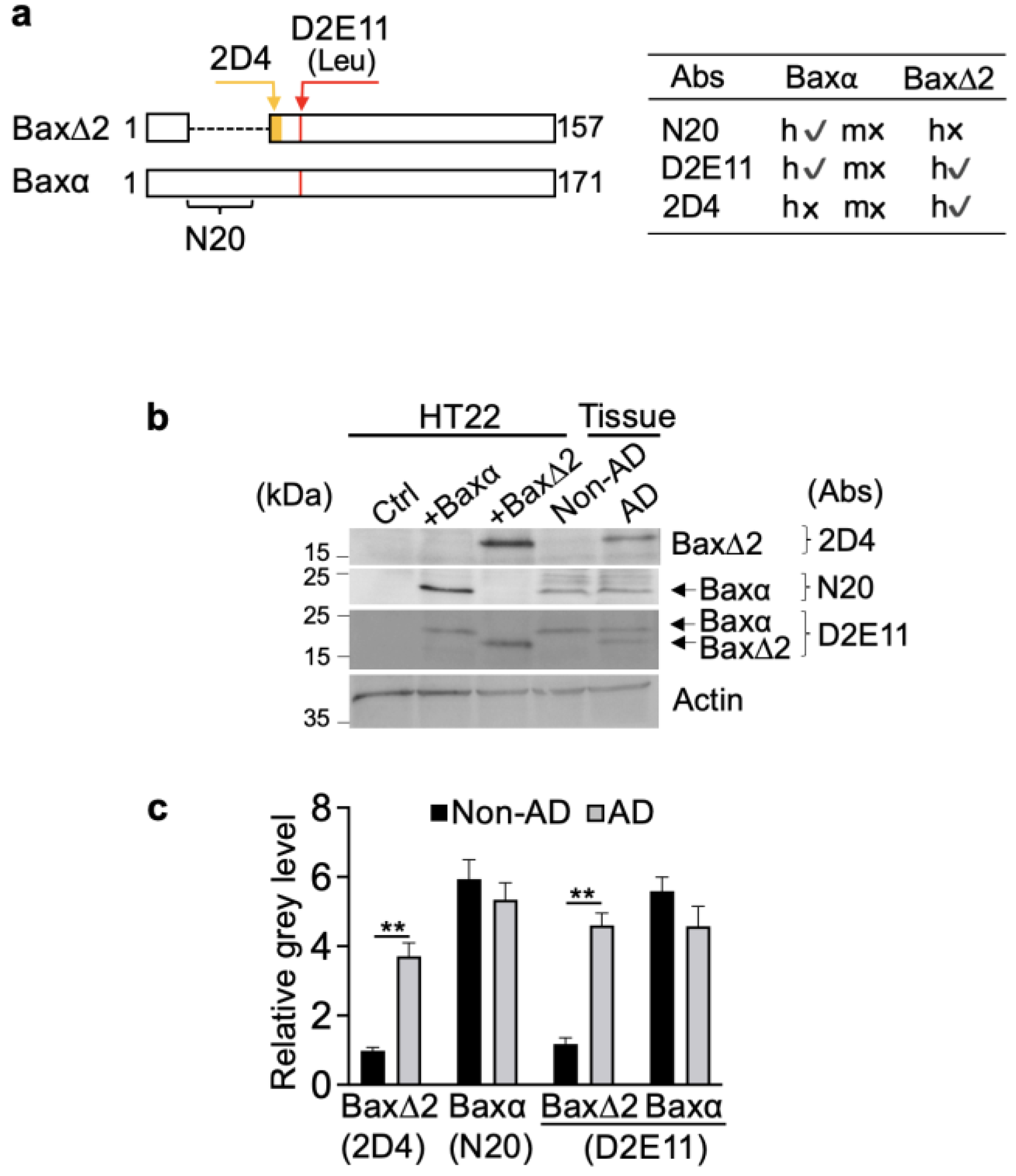 Biomolecules 13 00970 g002
