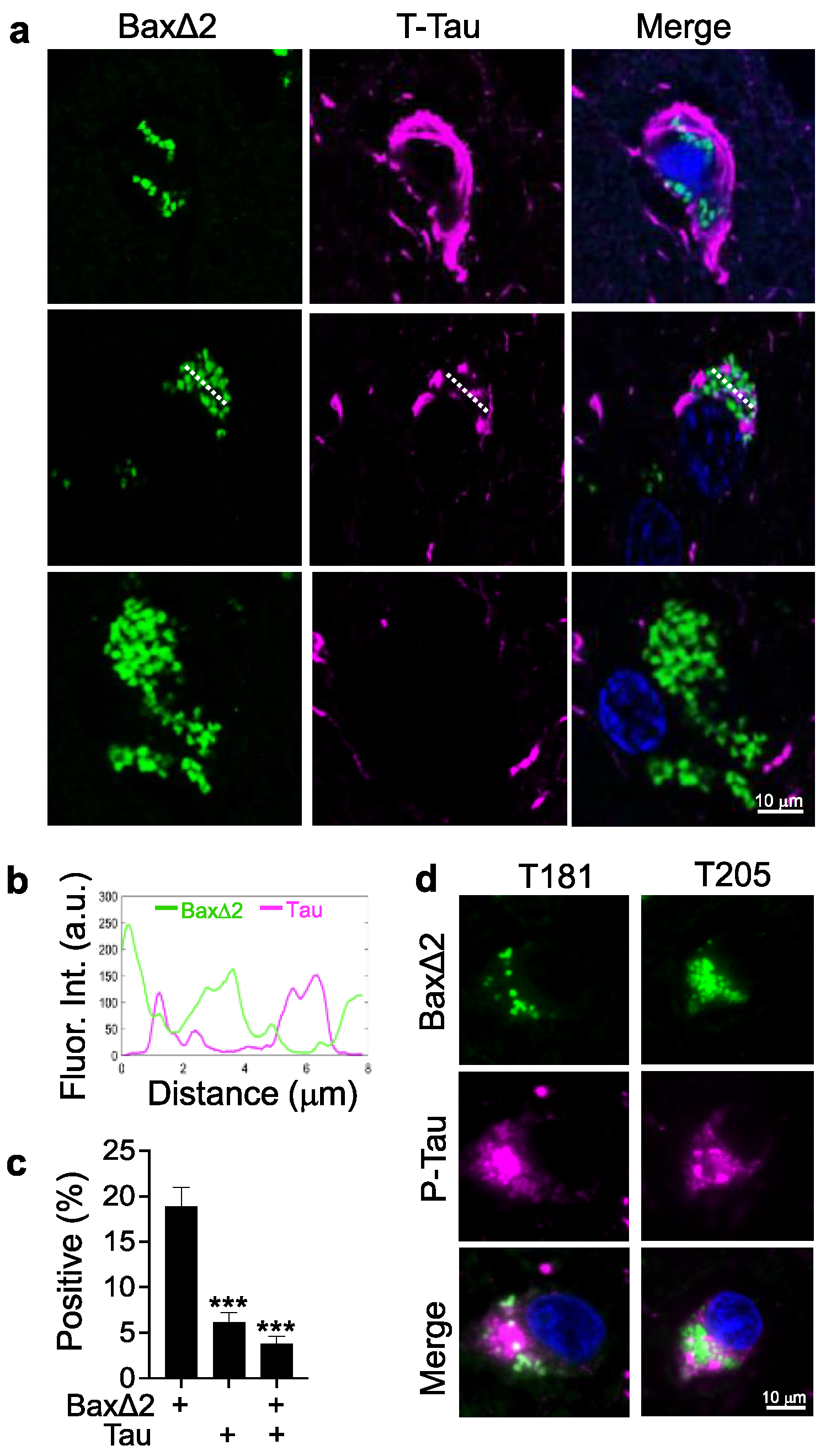 Biomolecules 13 00970 g004