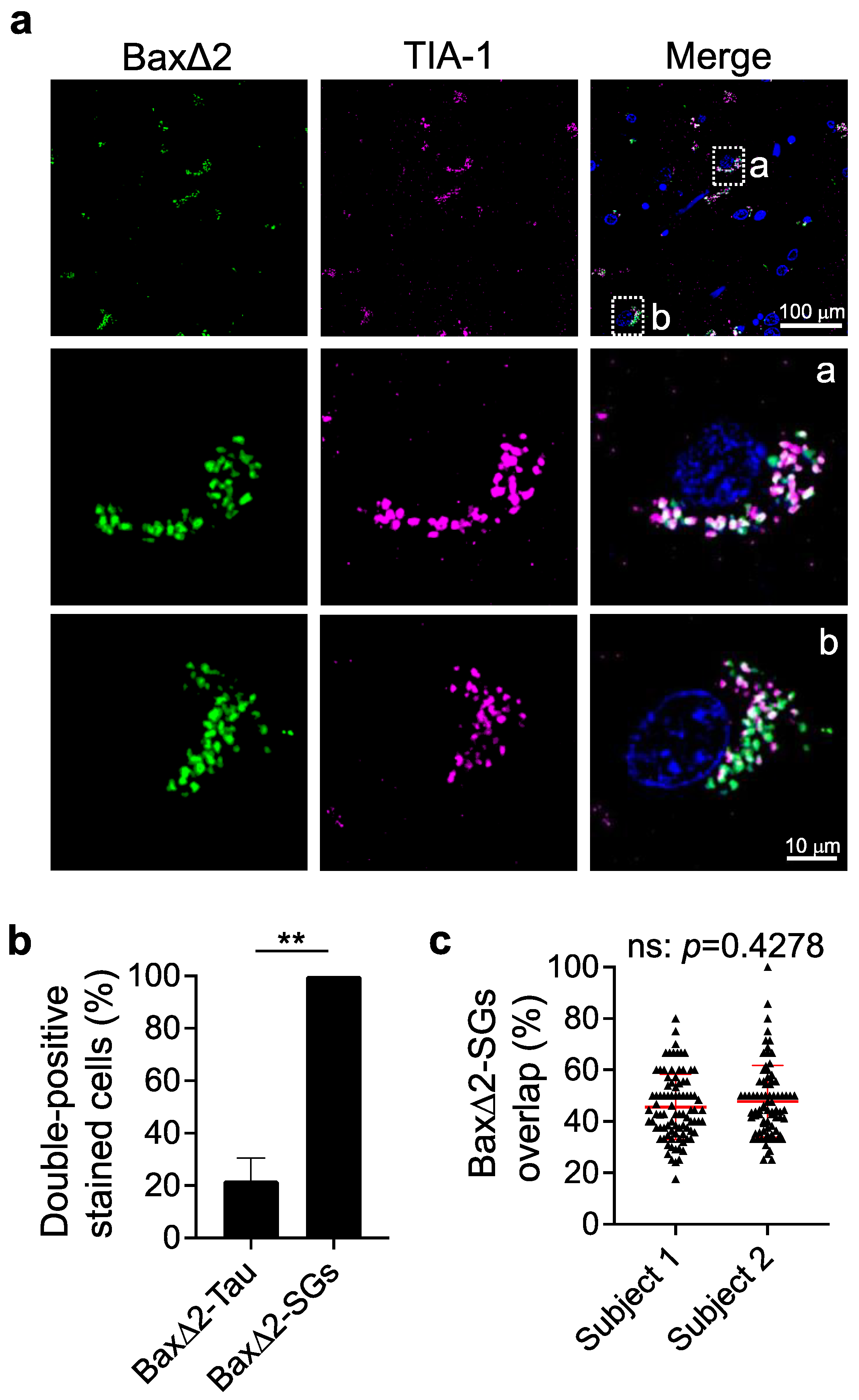 Biomolecules 13 00970 g005