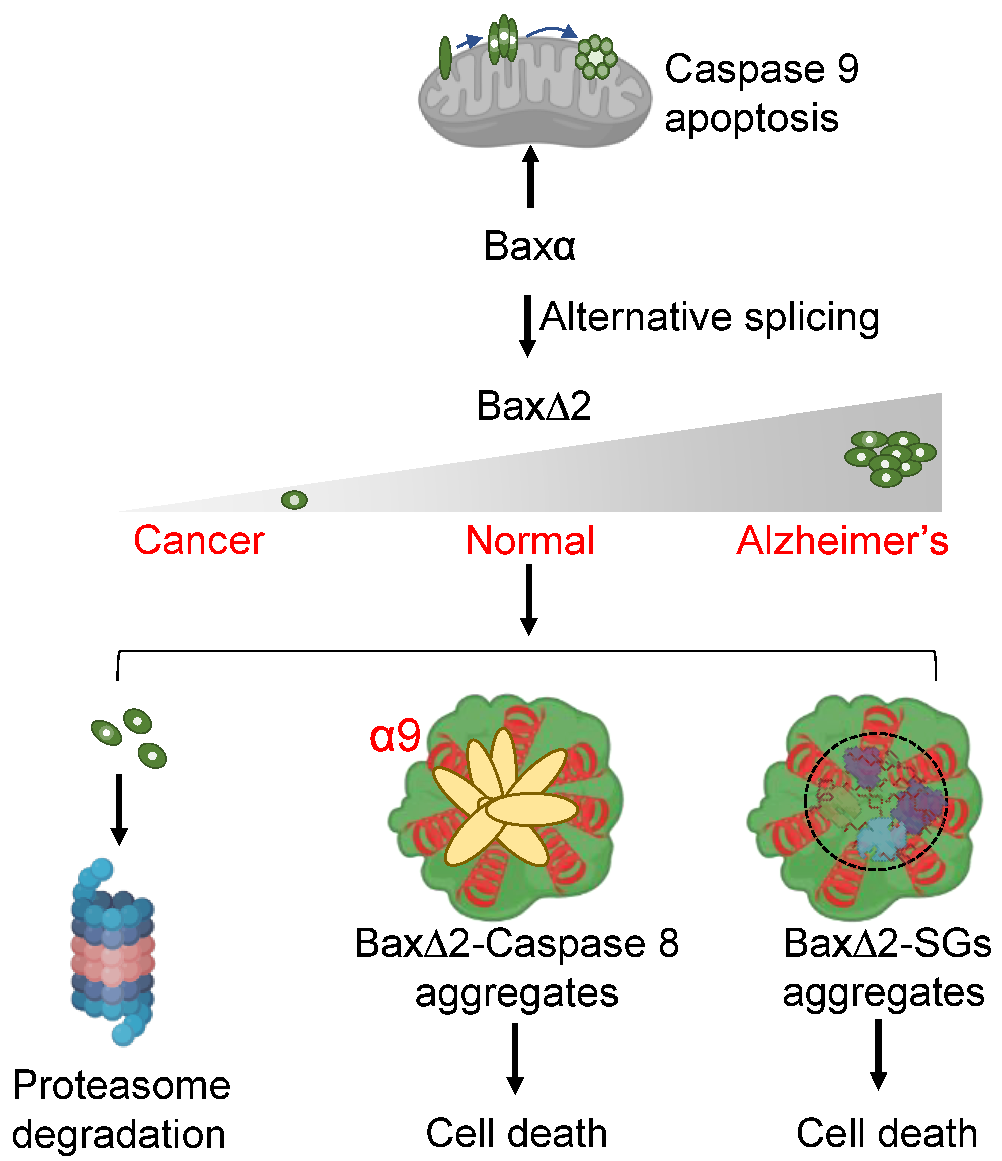 Biomolecules 13 00970 g008