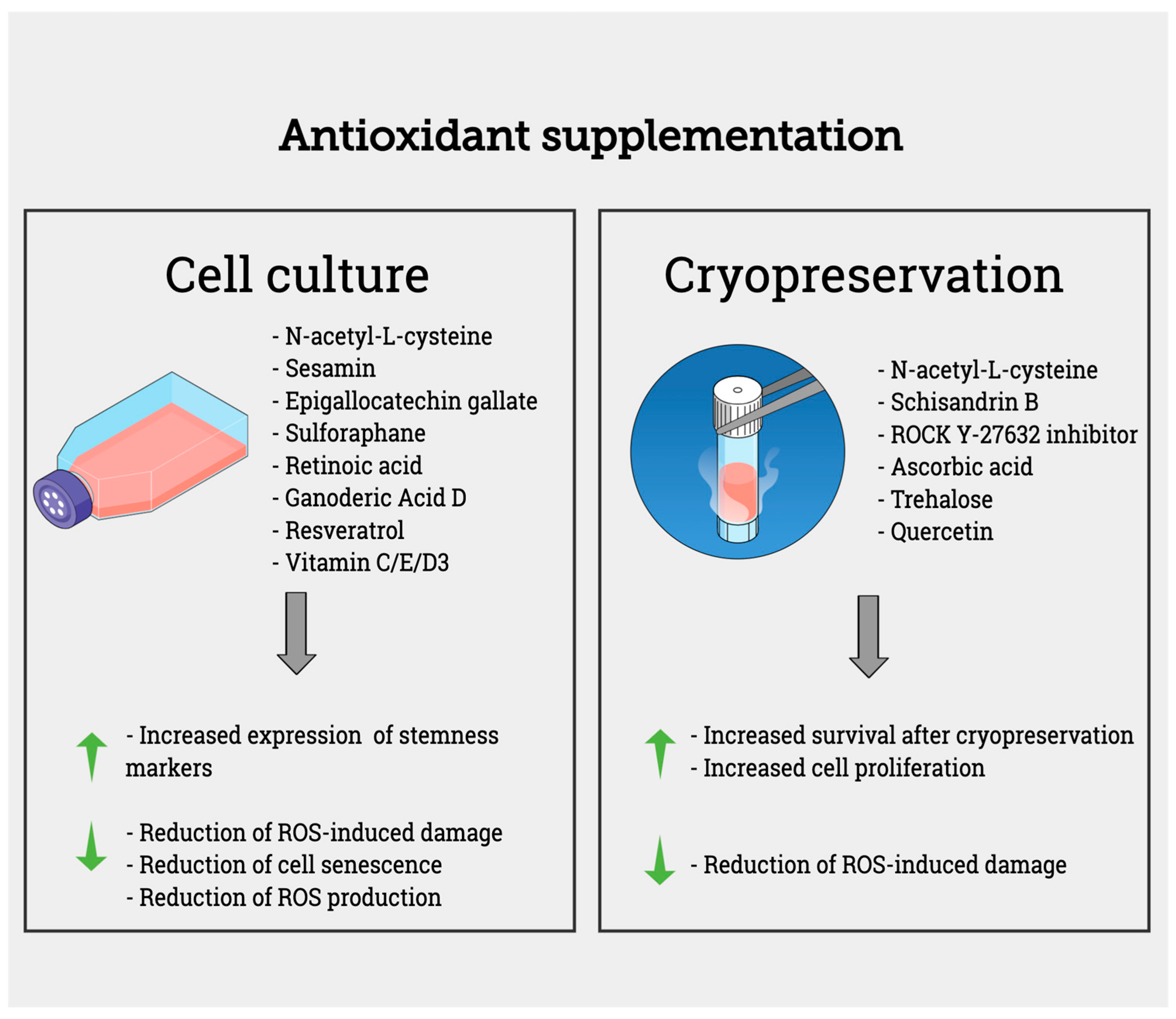 Biomolecules 13 00971 g002
