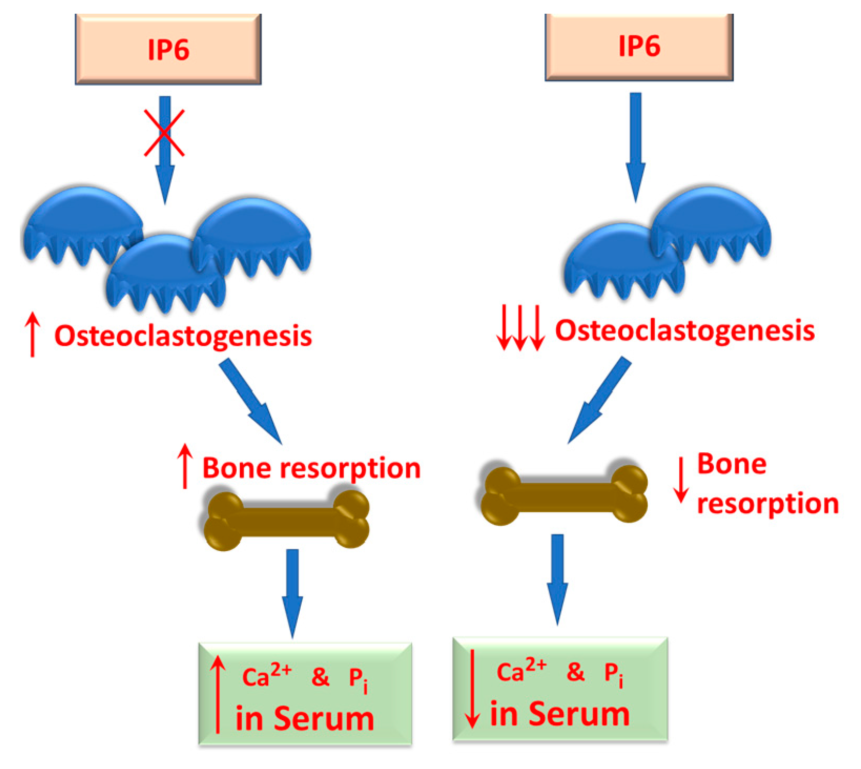 Biomolecules 13 00972 g003