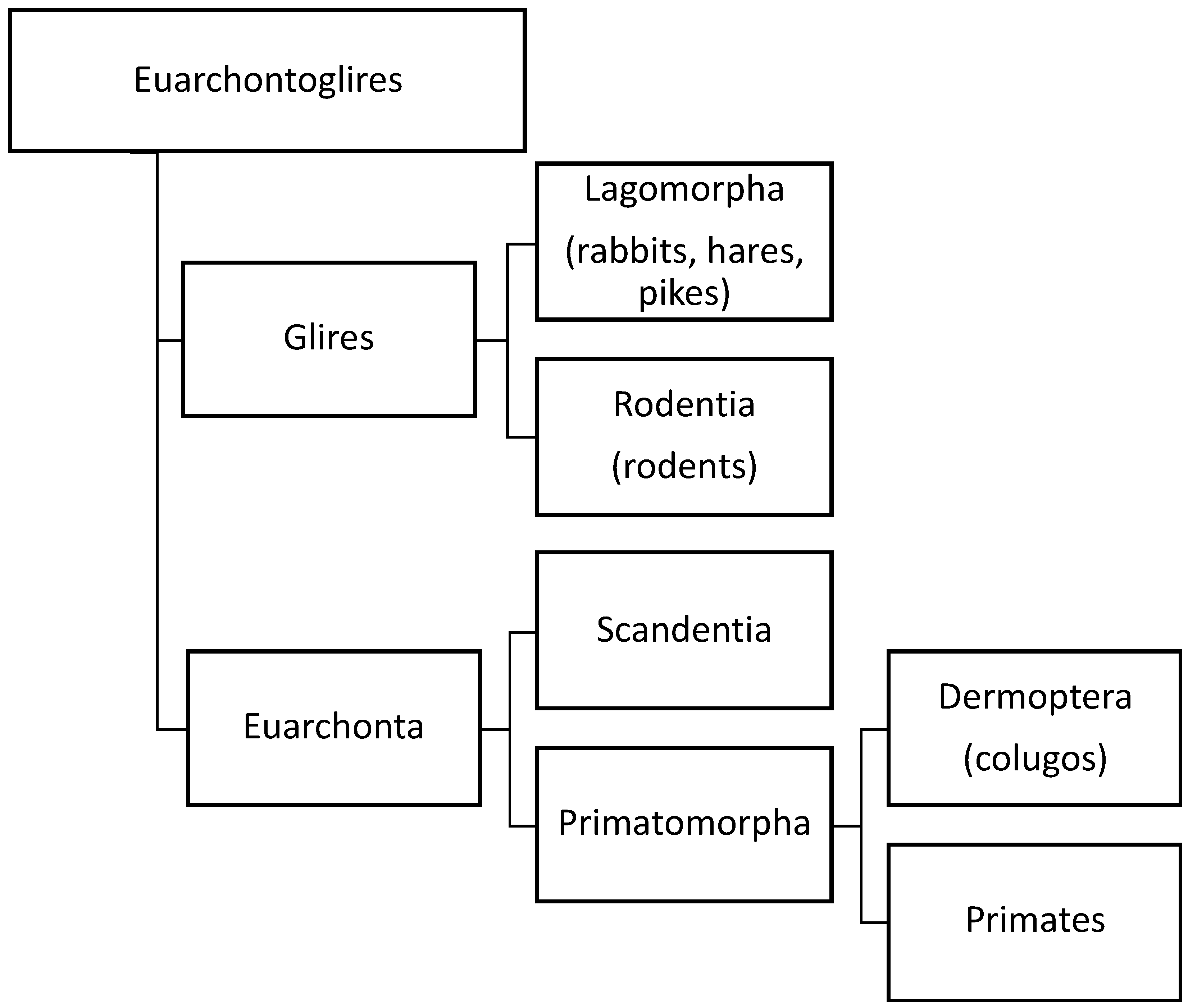 Biomolecules 13 00975 g002