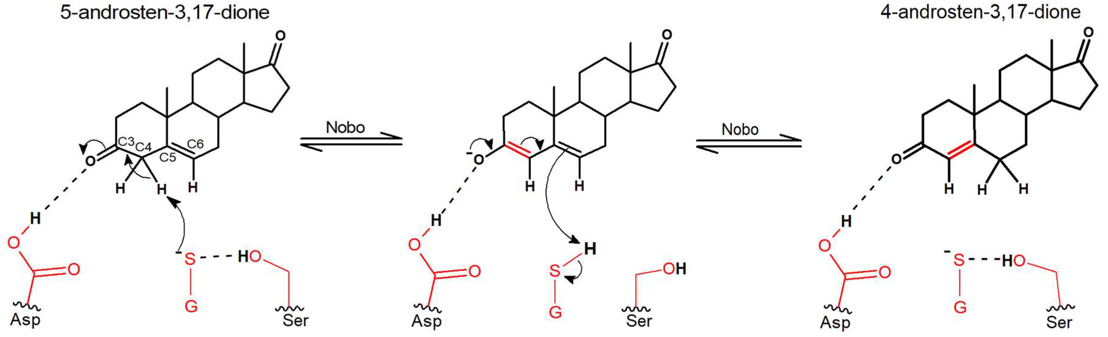 Biomolecules 13 00976 g003
