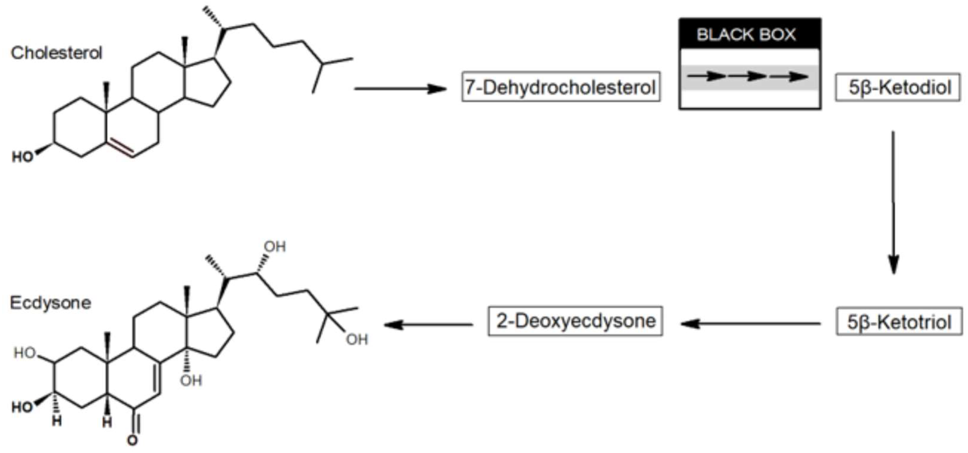 Biomolecules 13 00976 g004