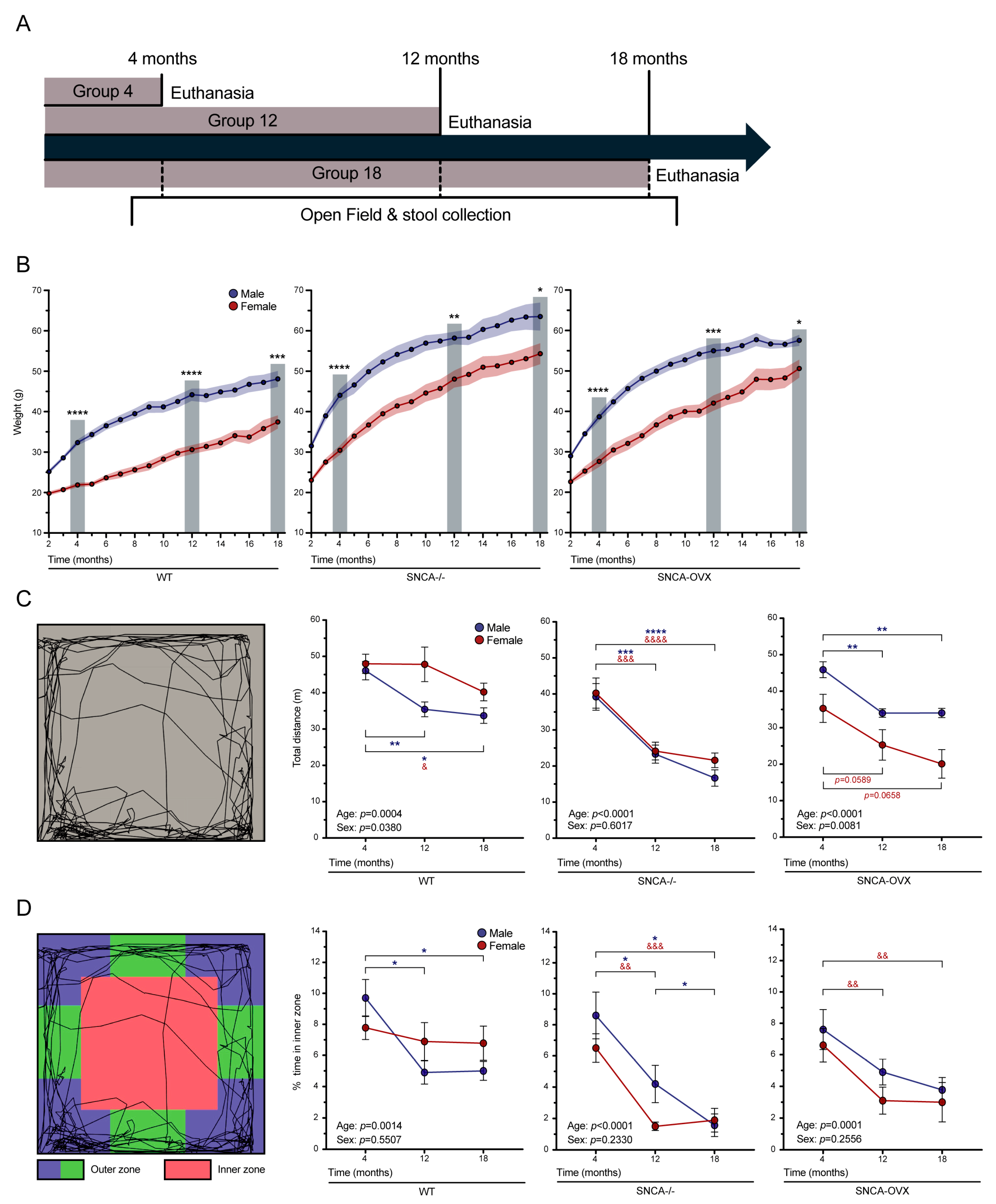 Biomolecules 13 00977 g001
