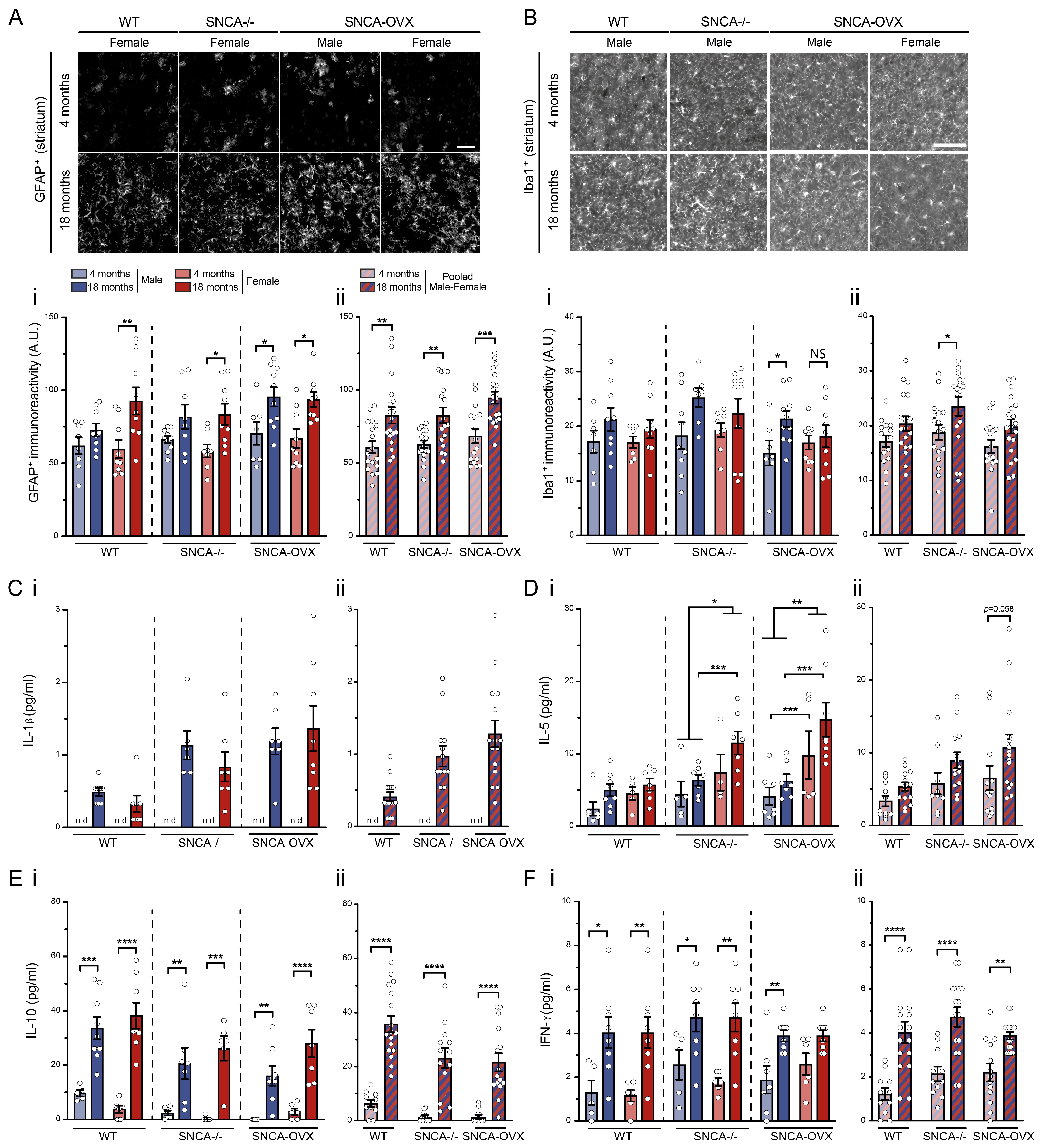 Biomolecules 13 00977 g004