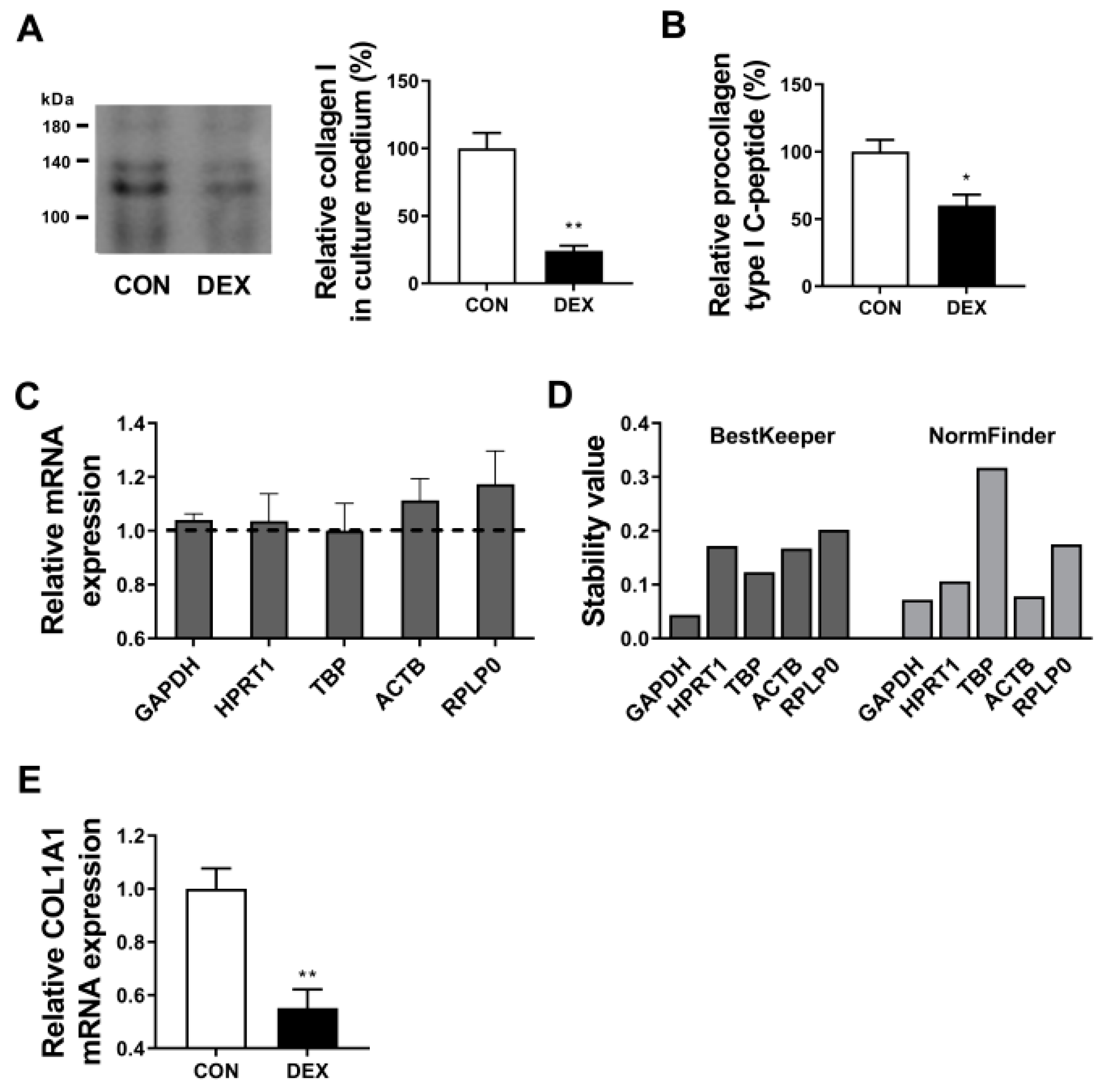 Biomolecules 13 00978 g002