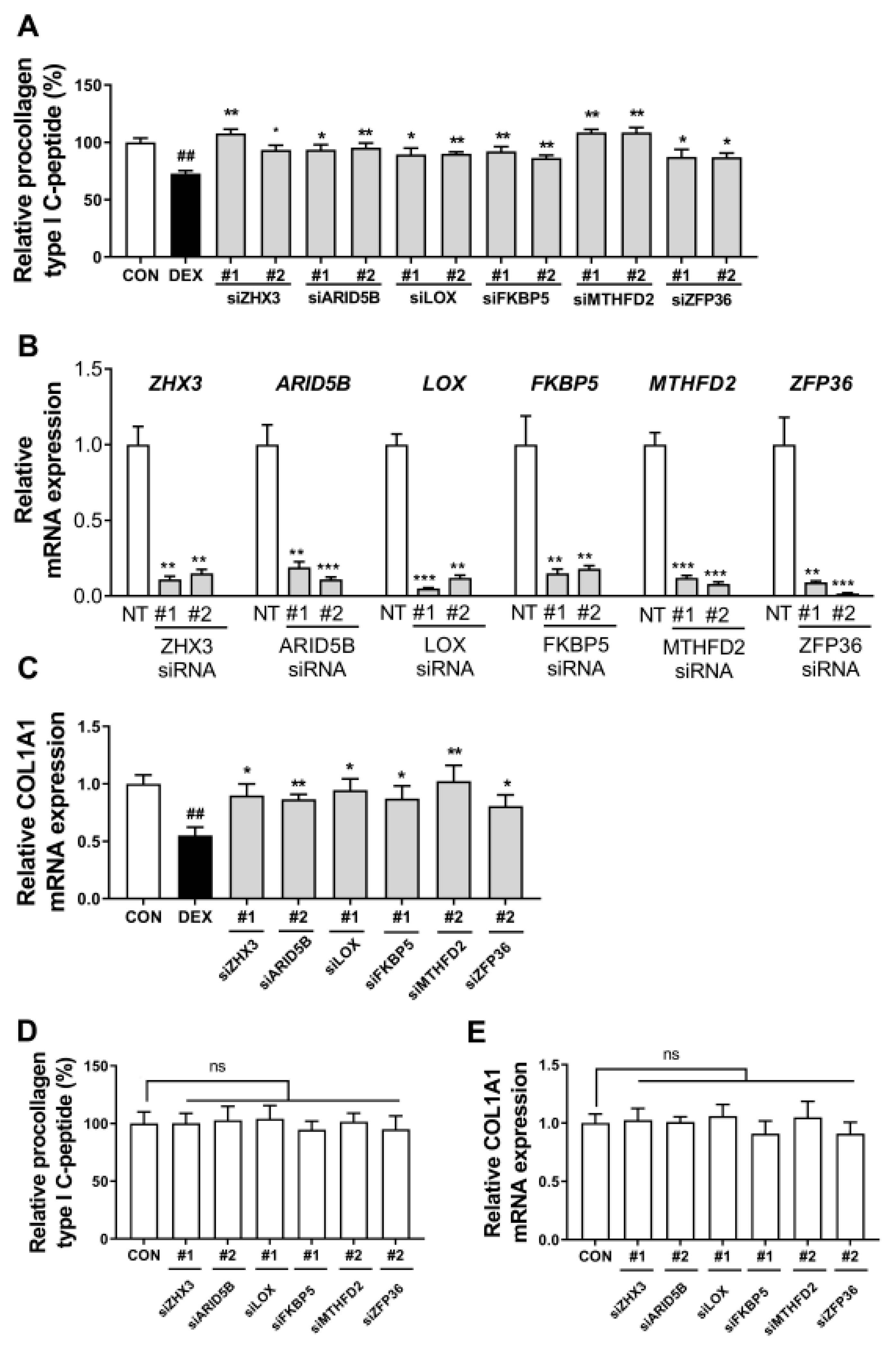 Biomolecules 13 00978 g004