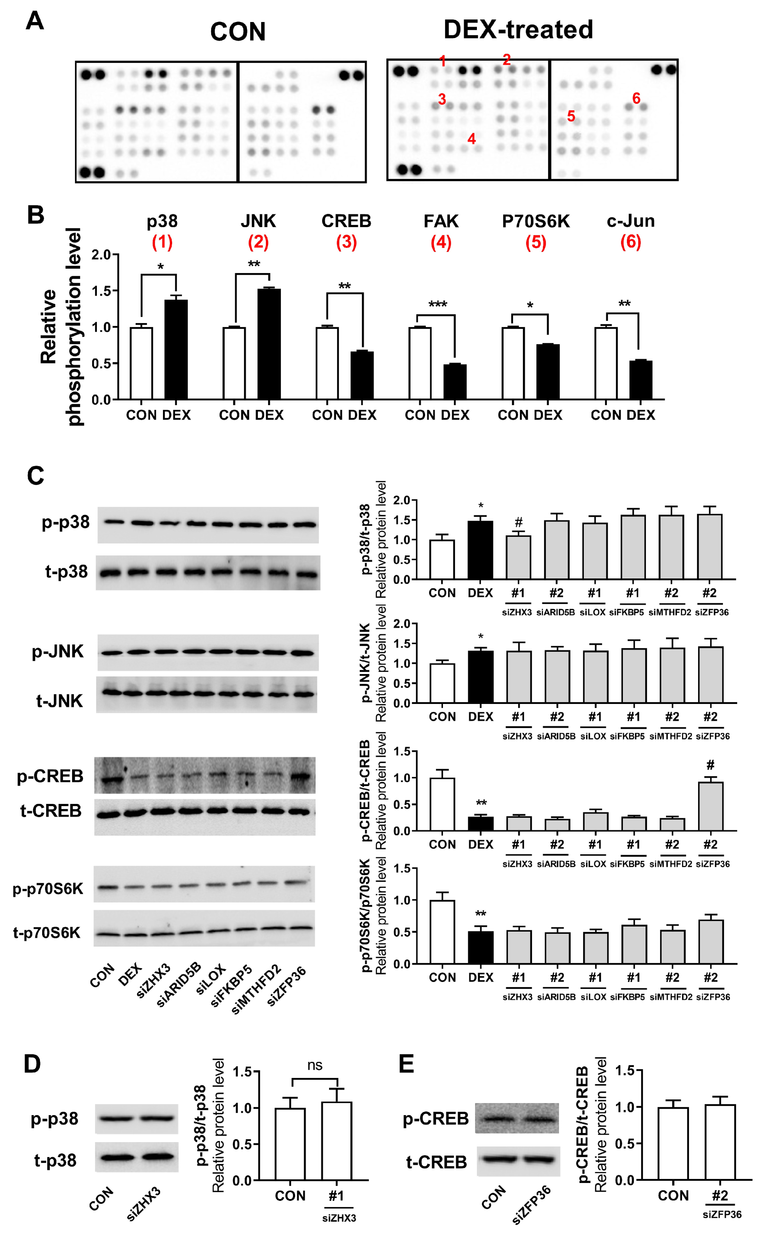 Biomolecules 13 00978 g005