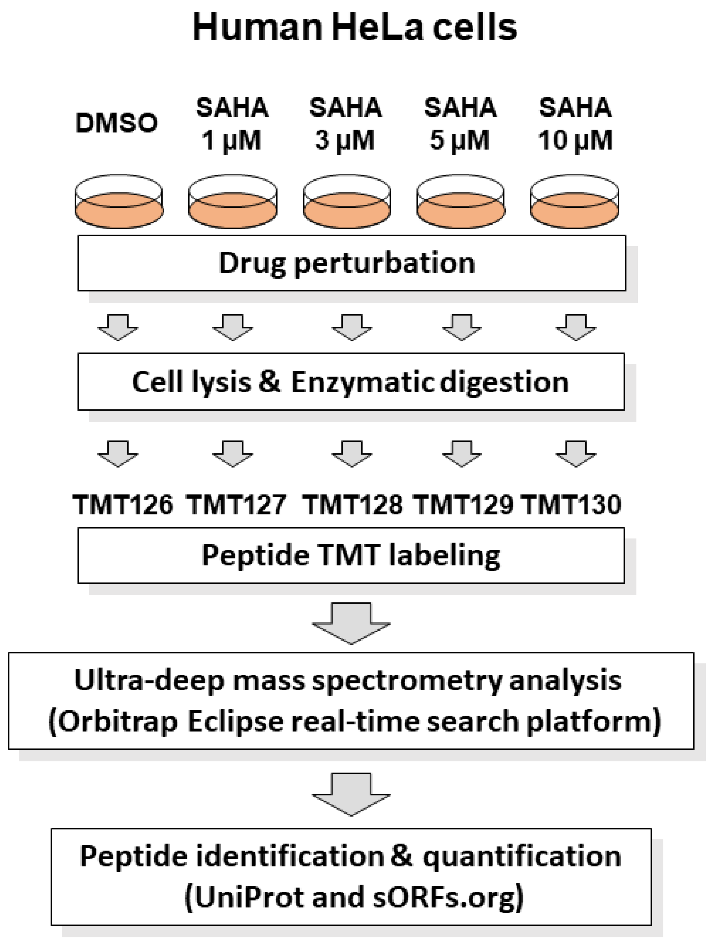 Biomolecules 13 00979 g001