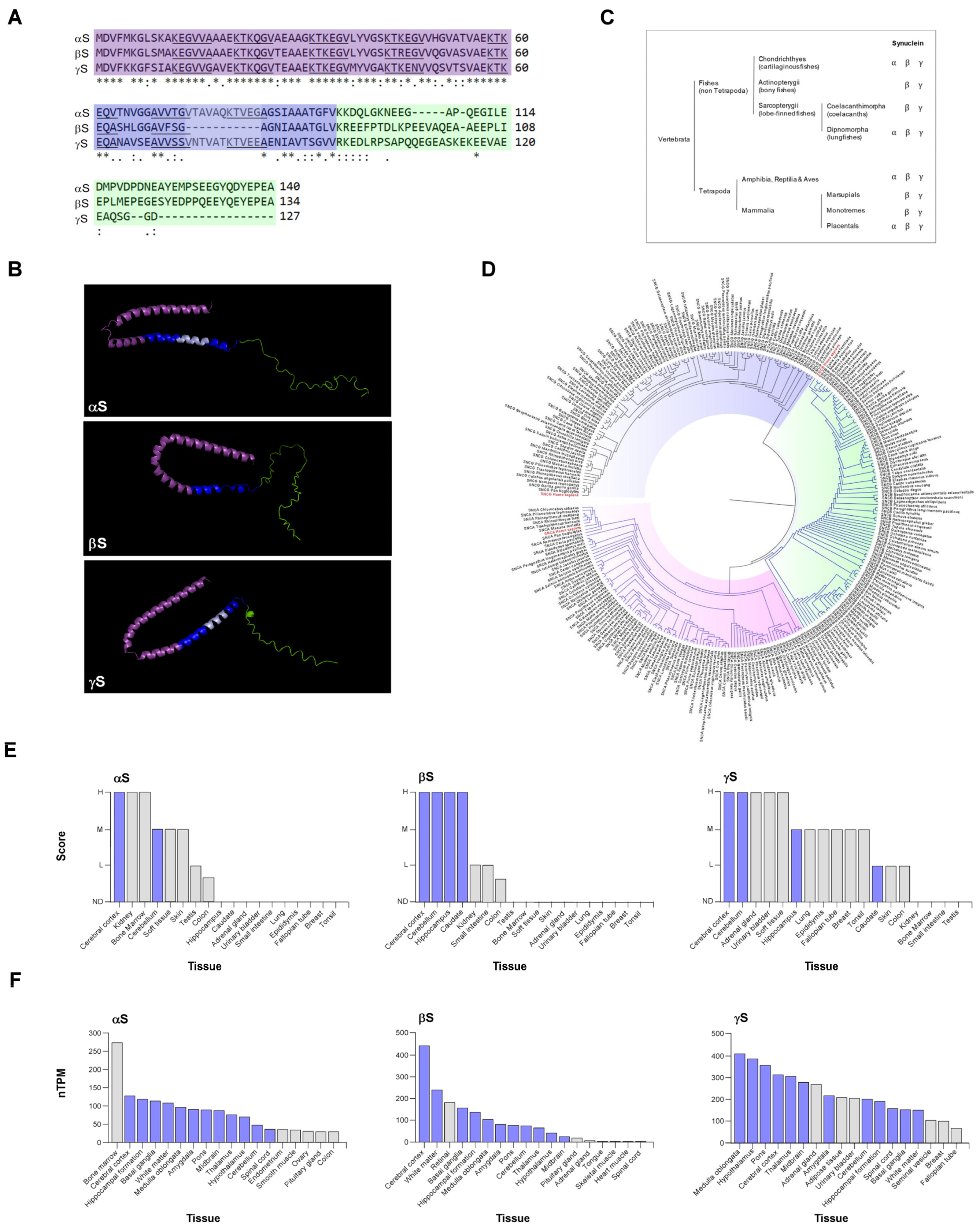Biomolecules 13 00980 g001