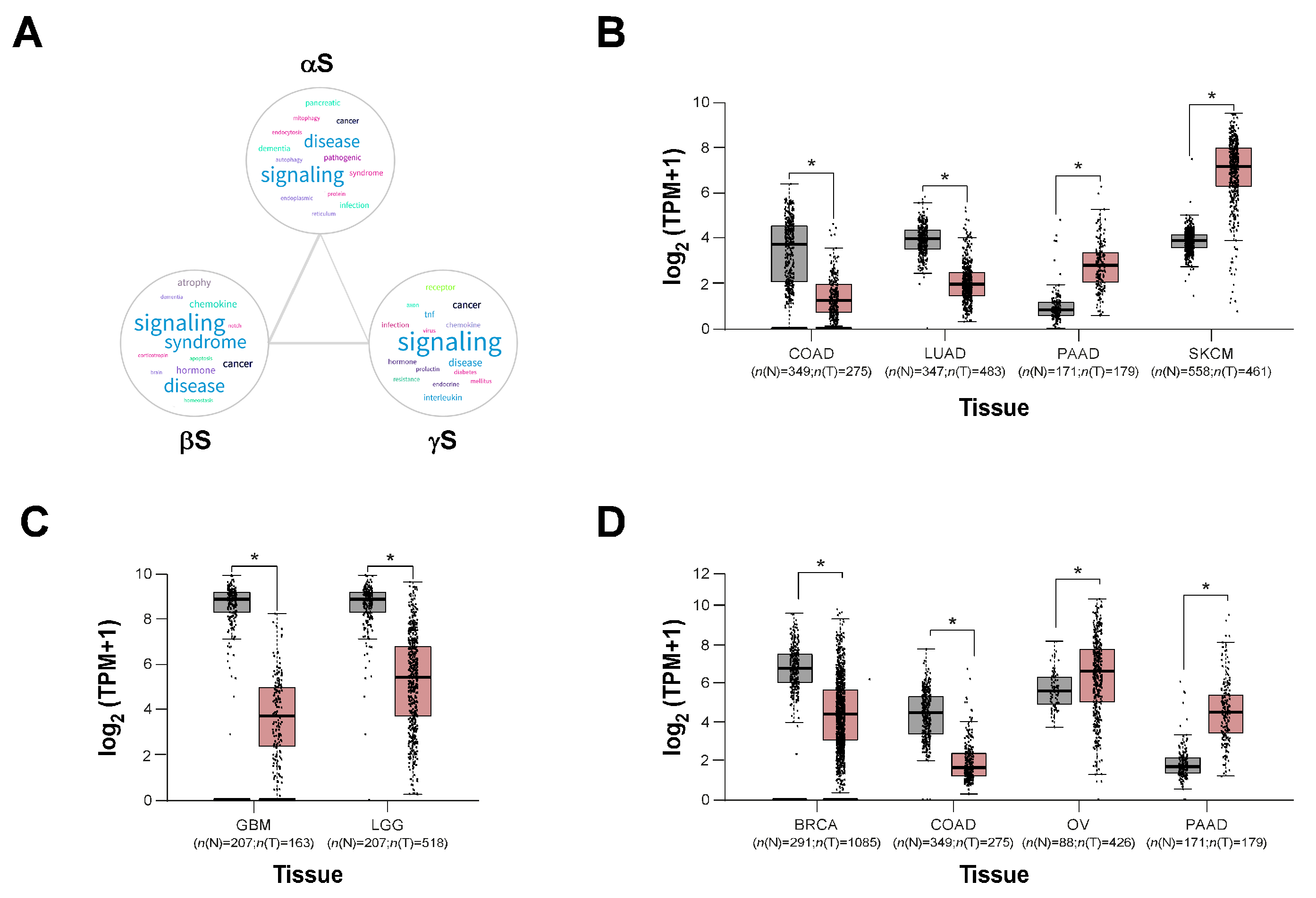 Biomolecules 13 00980 g002
