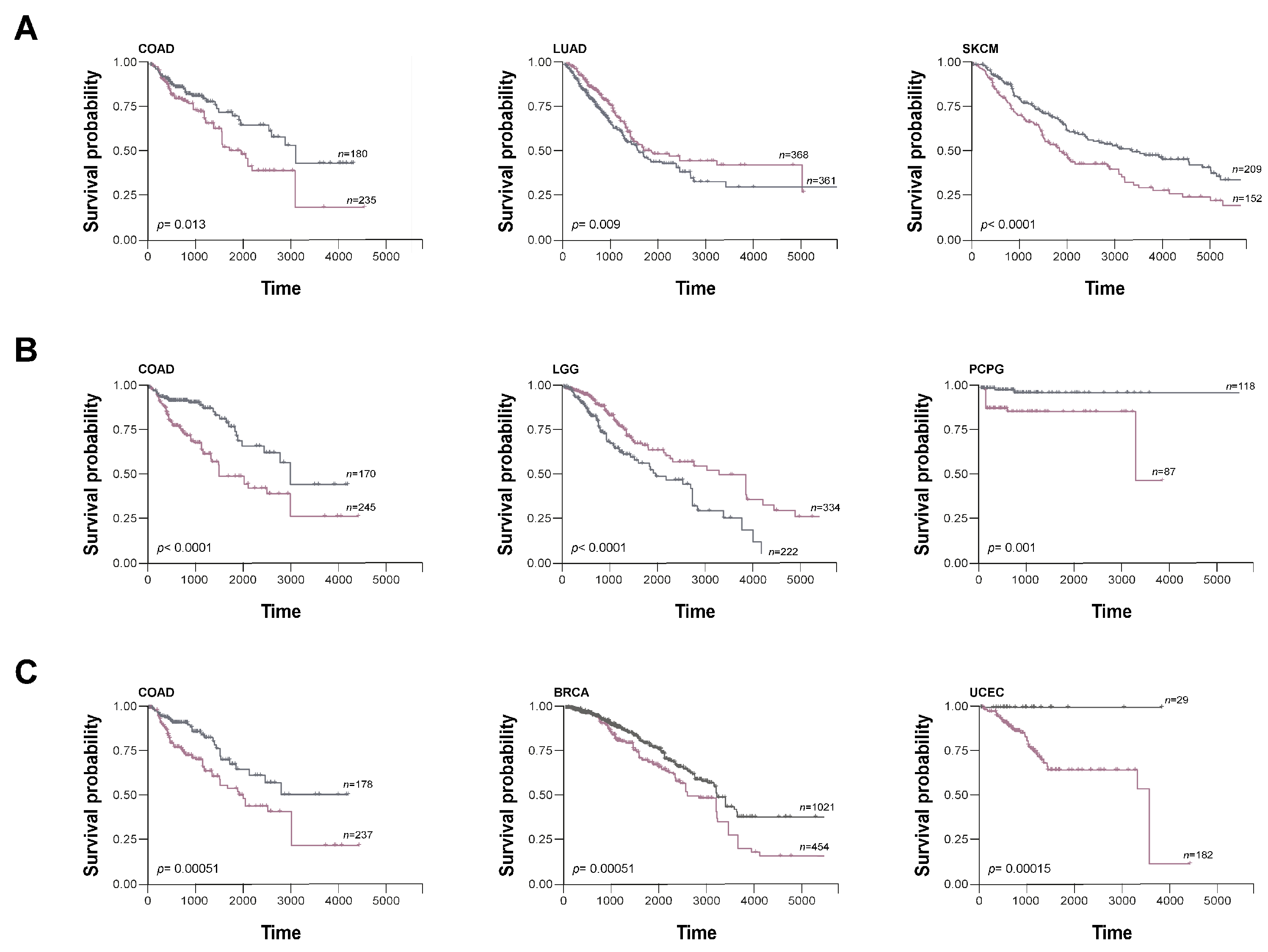 Biomolecules 13 00980 g004