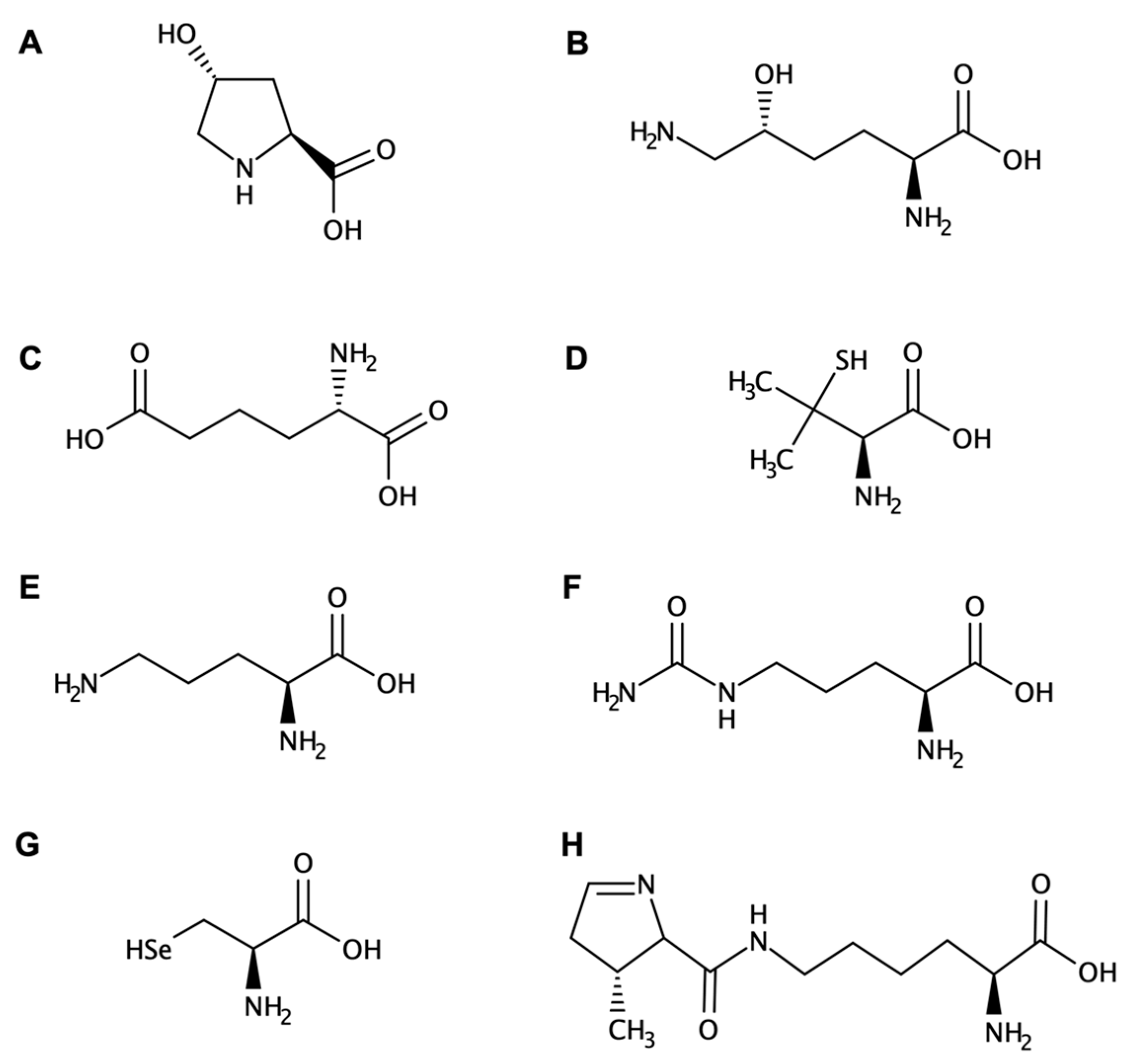 Biomolecules 13 00981 g001