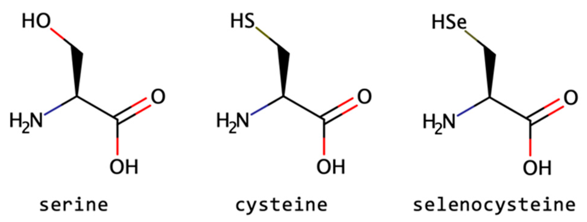 Biomolecules 13 00981 g012