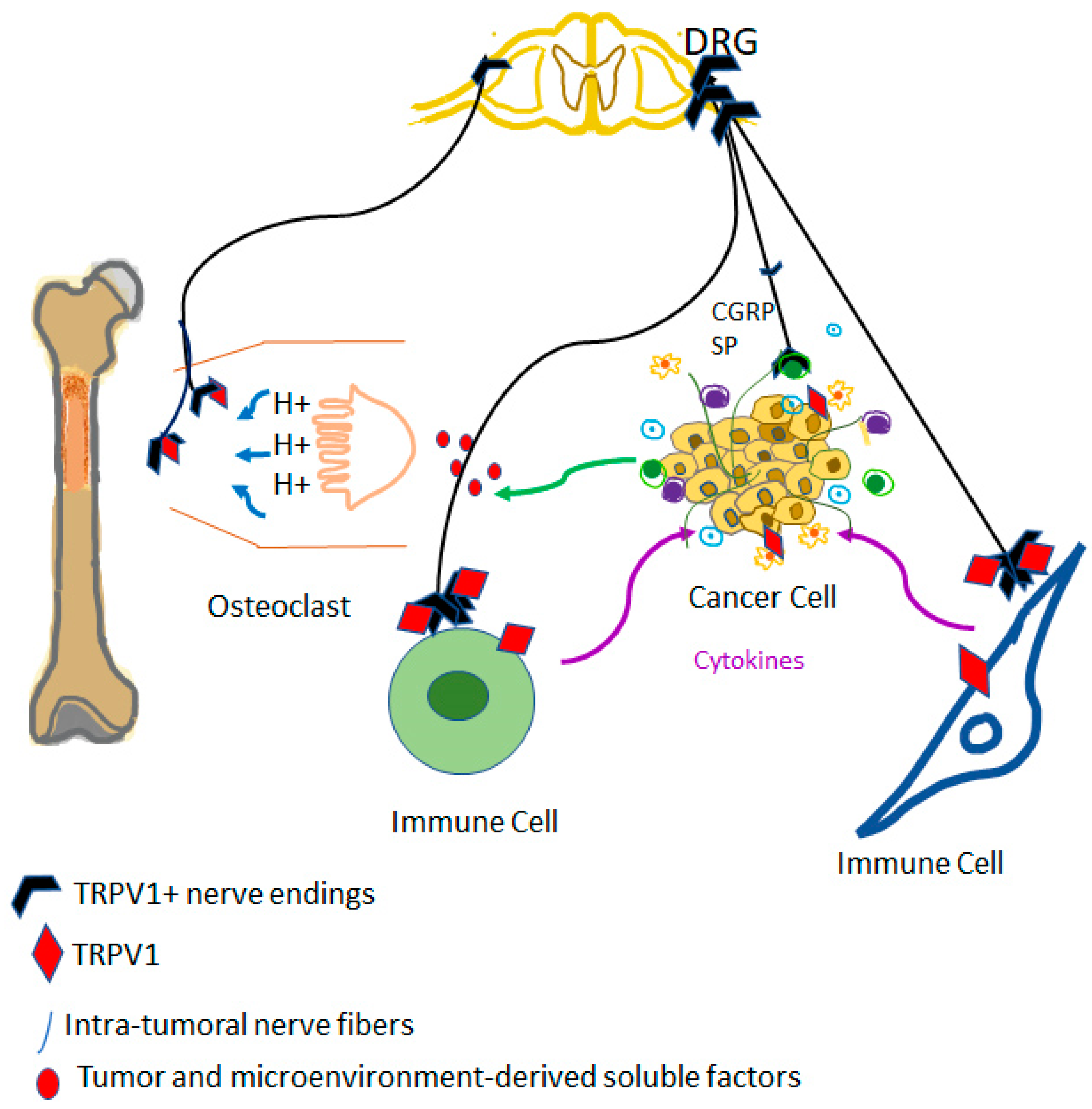 Biomolecules 13 00983 g002