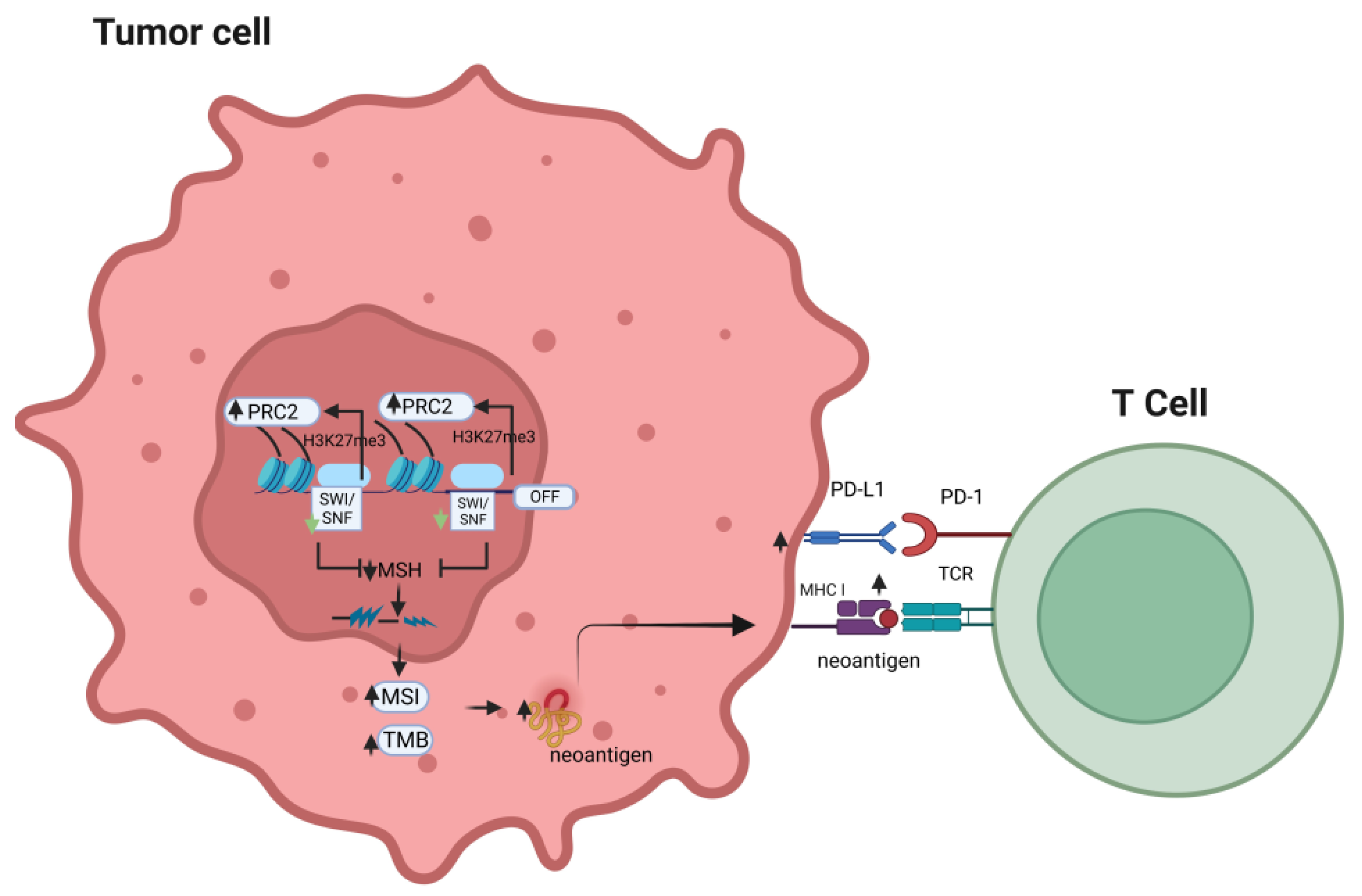 Biomolecules 13 00984 g001