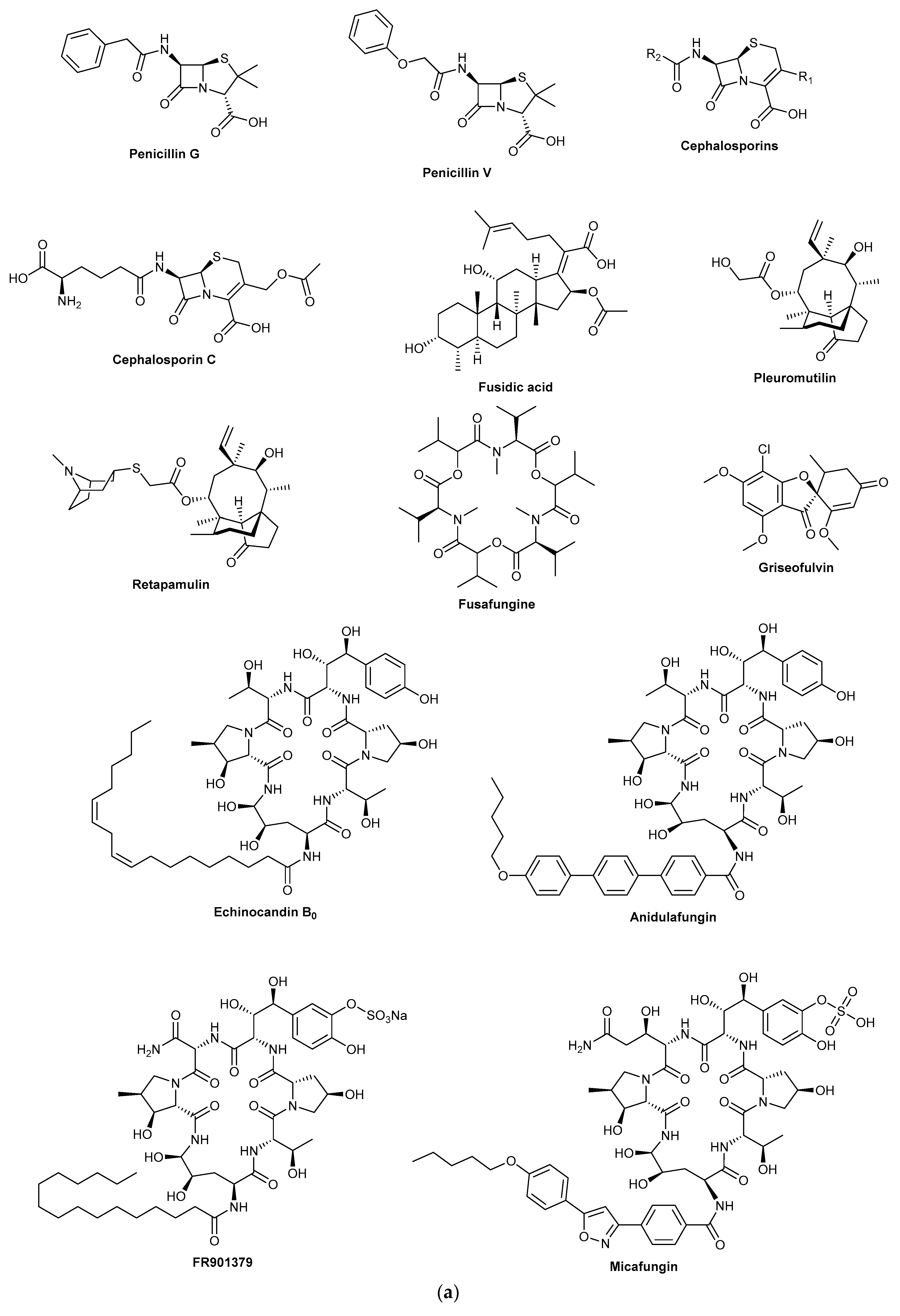 Biomolecules 13 00986 g001a