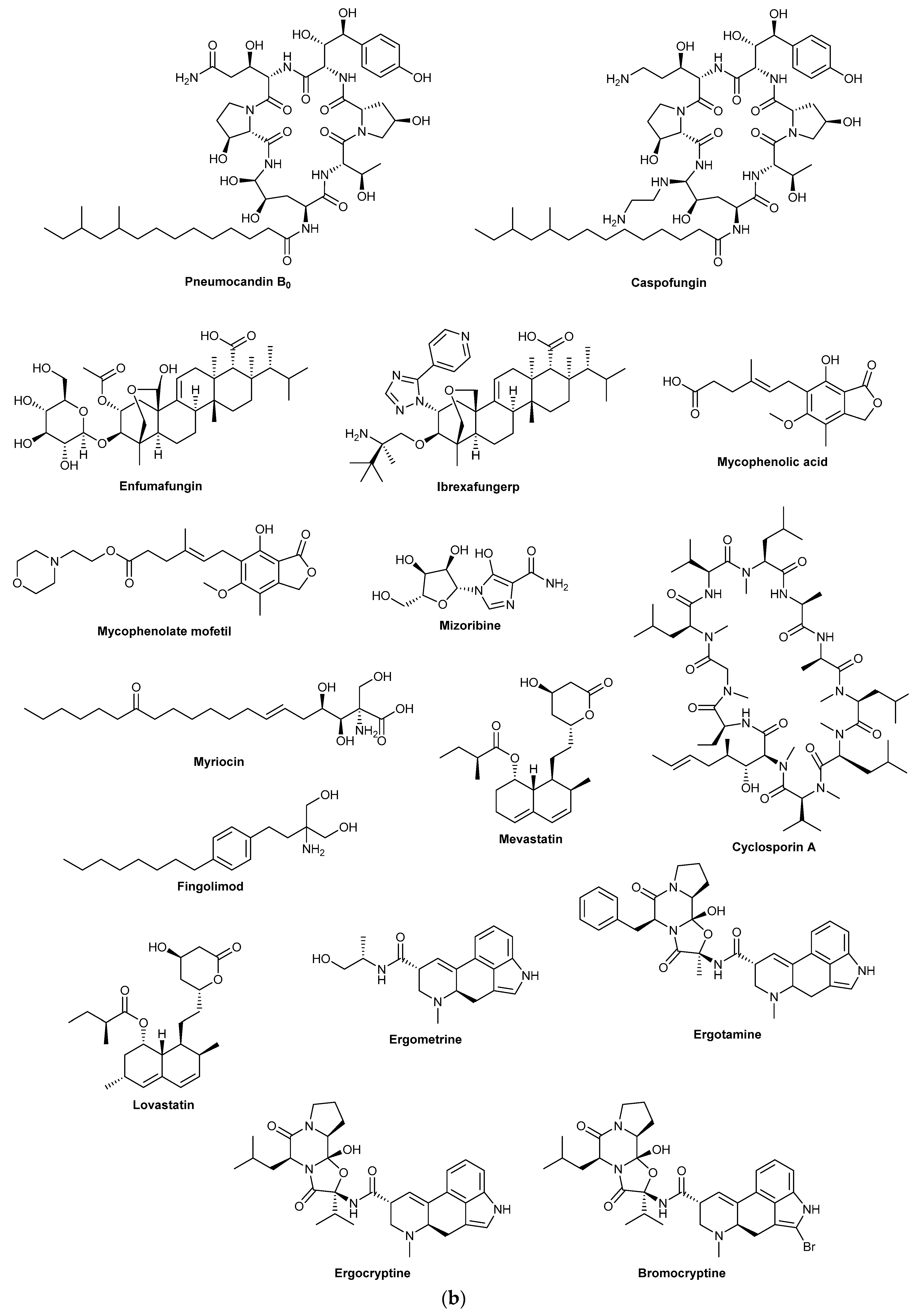 Biomolecules 13 00986 g001b
