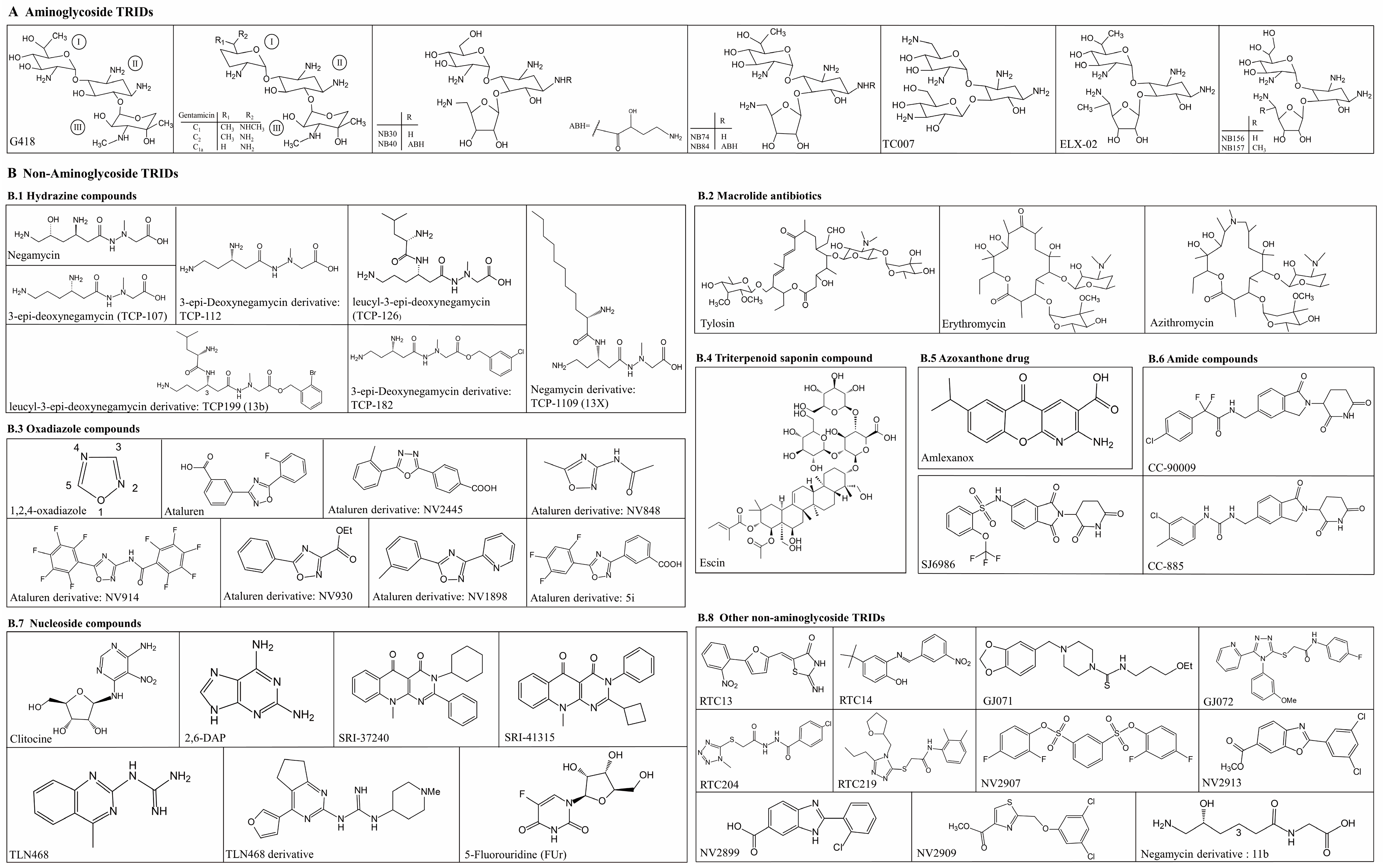 Biomolecules 13 00988 g001