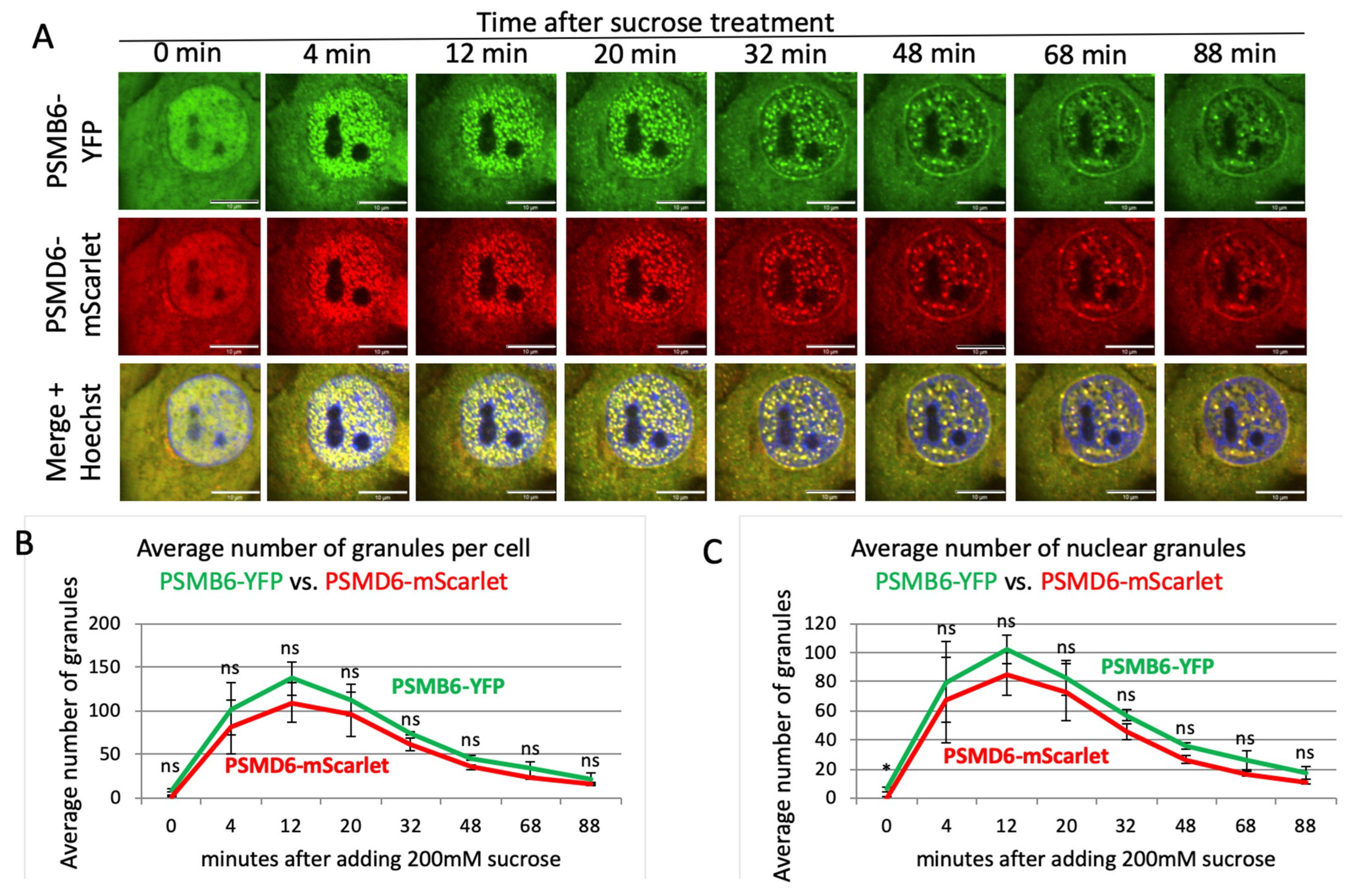 Biomolecules 13 00992 g003