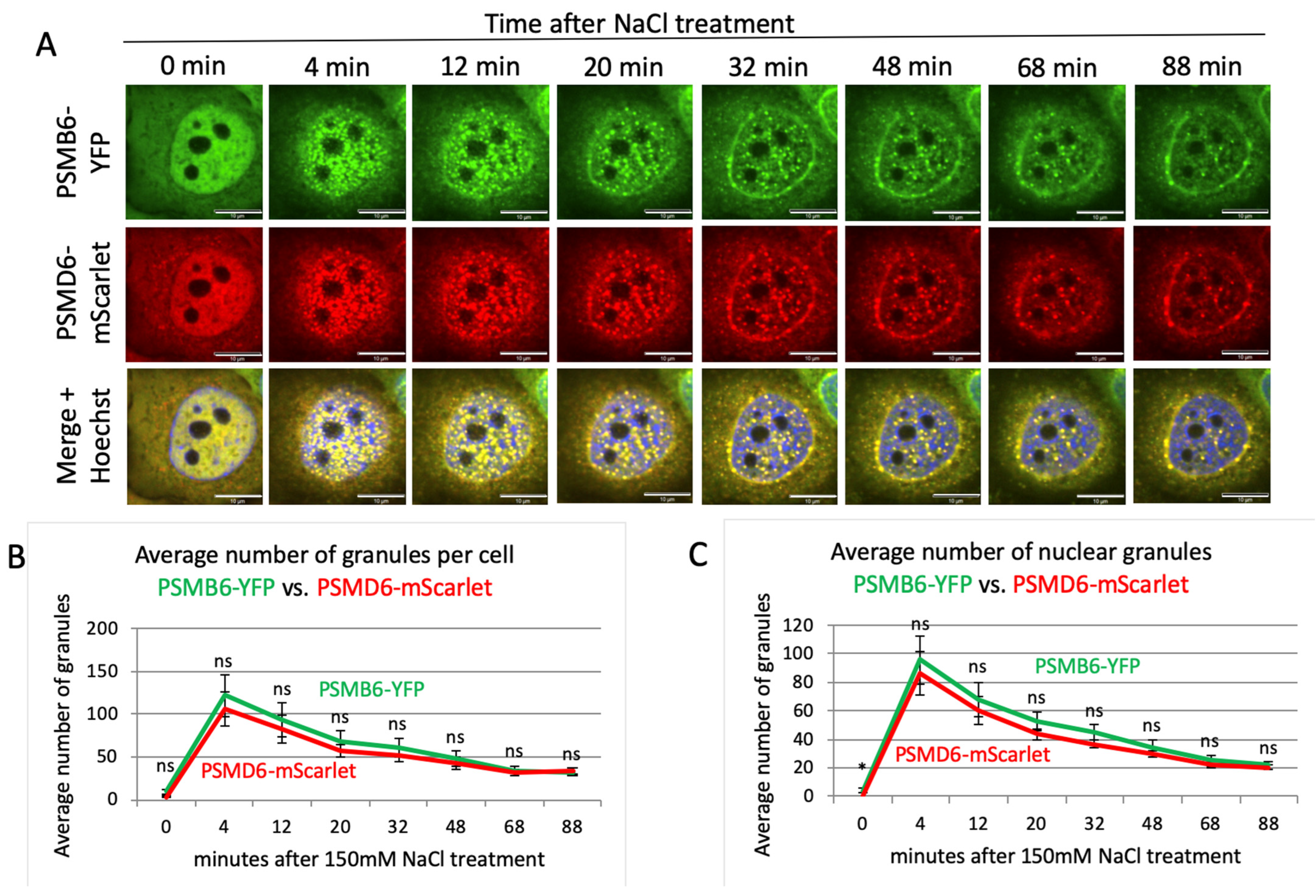 Biomolecules 13 00992 g004