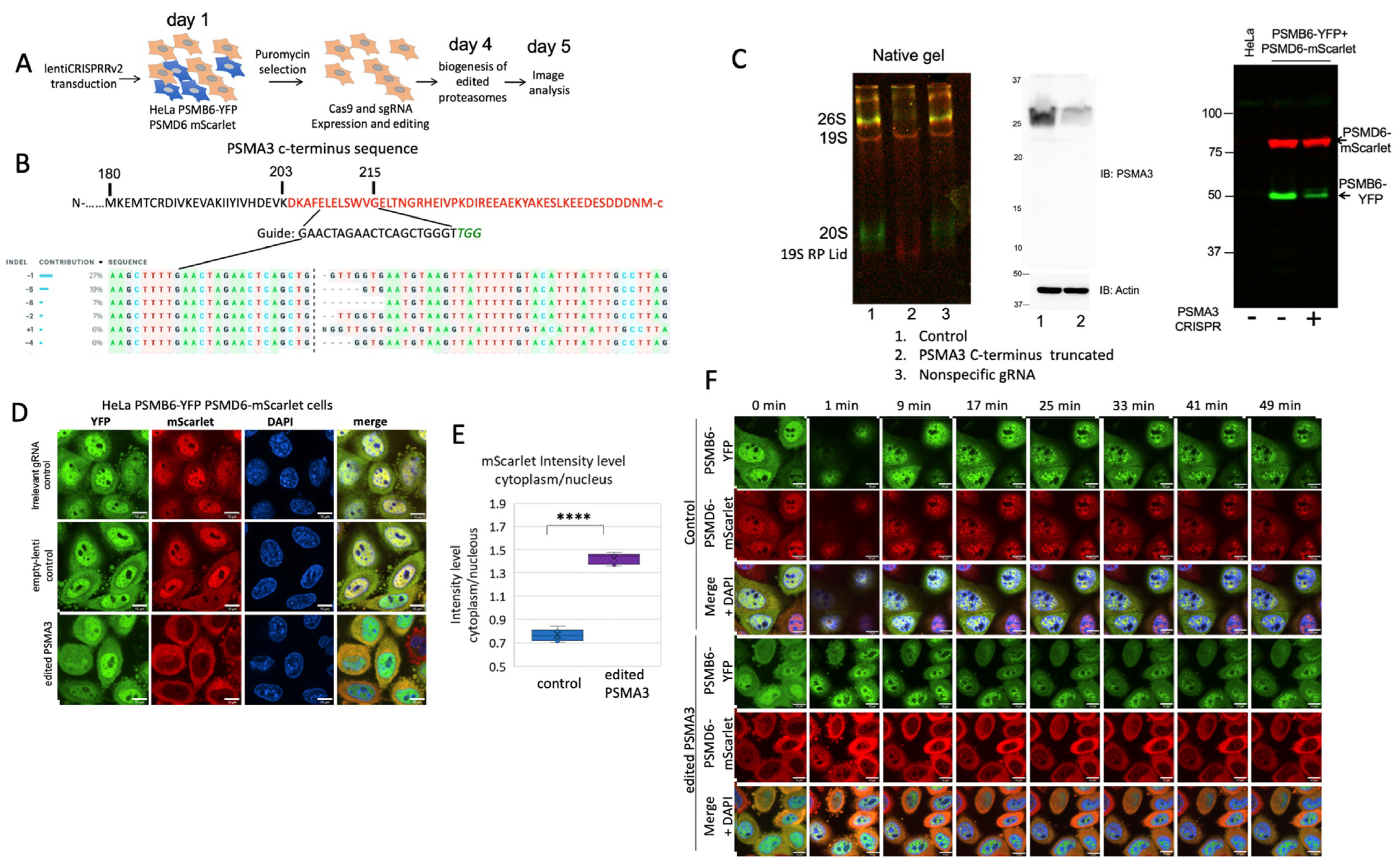 Biomolecules 13 00992 g006