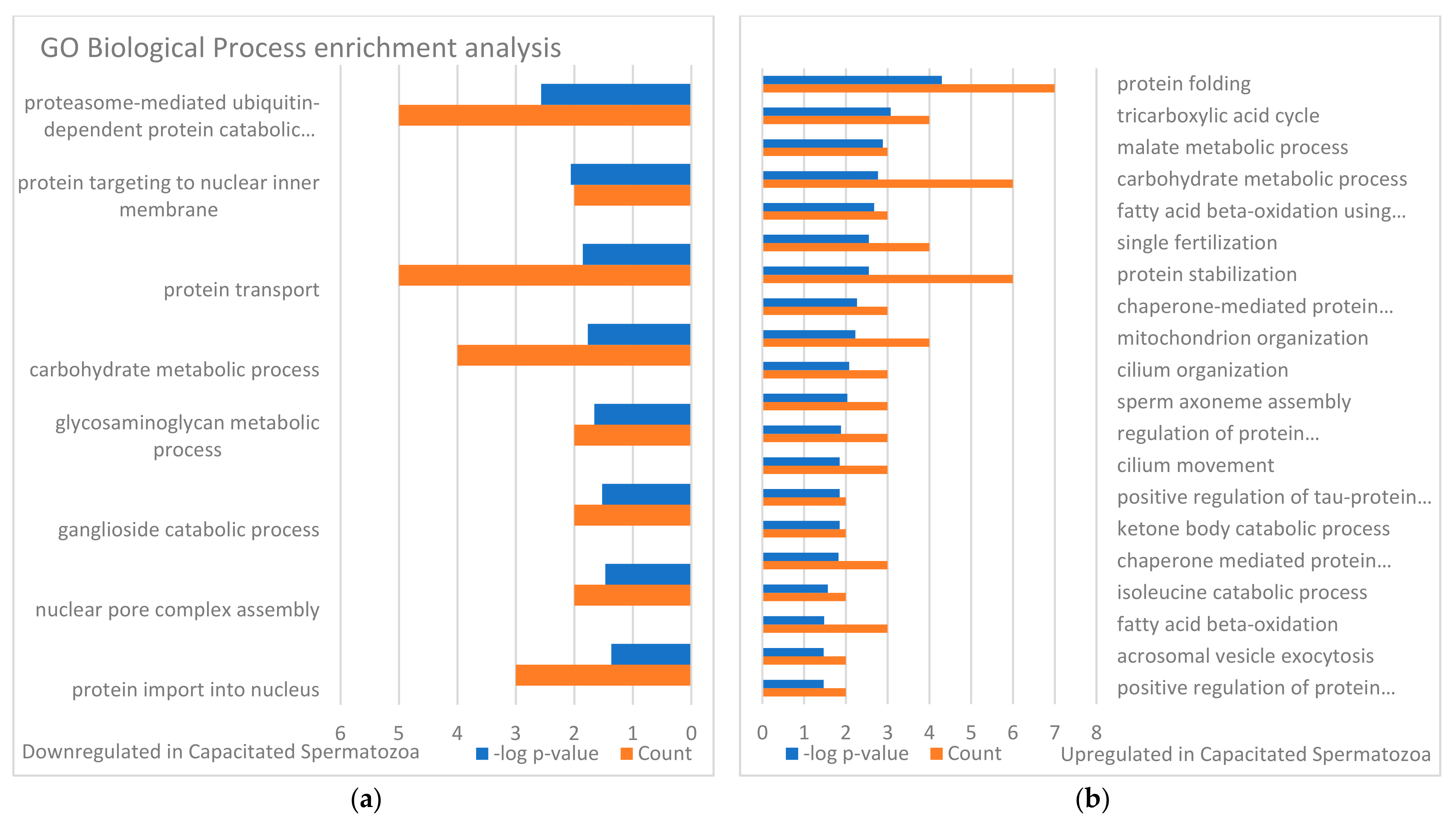 Biomolecules 13 00996 g006