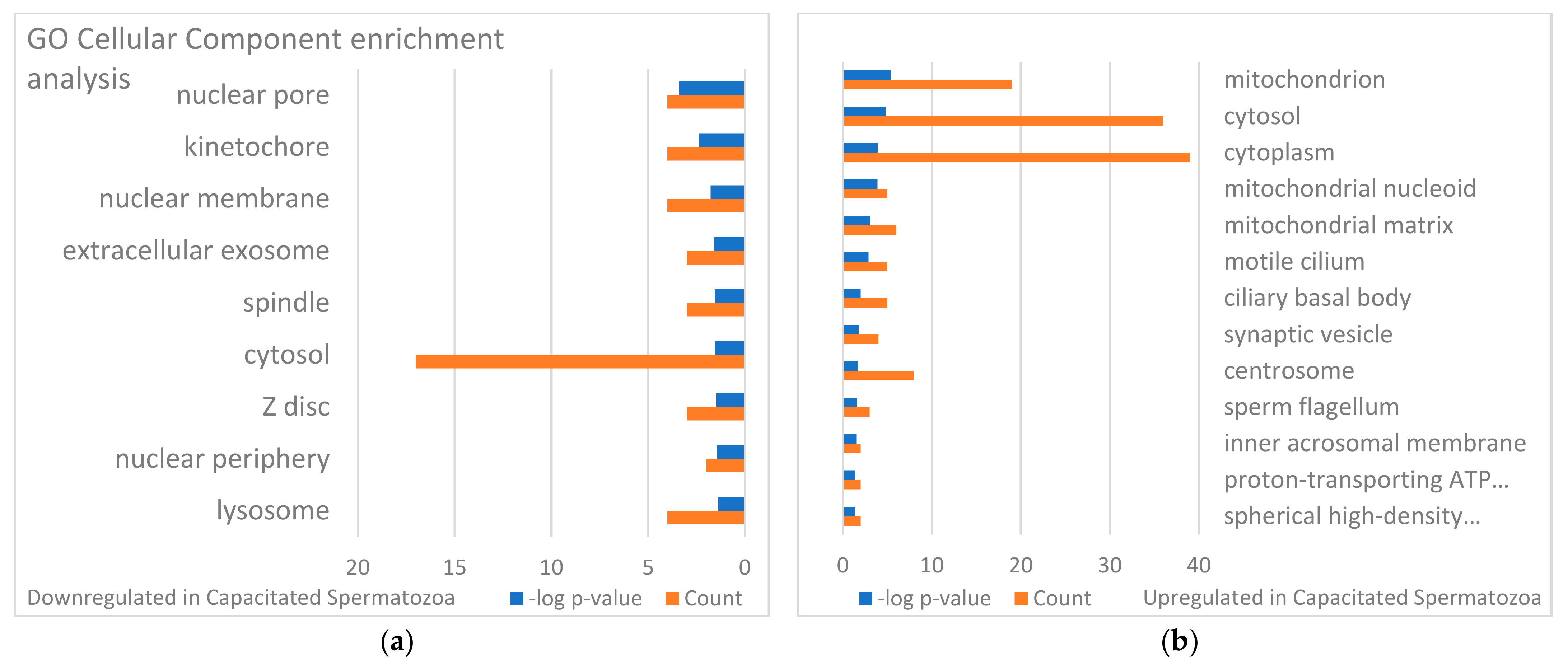 Biomolecules 13 00996 g007