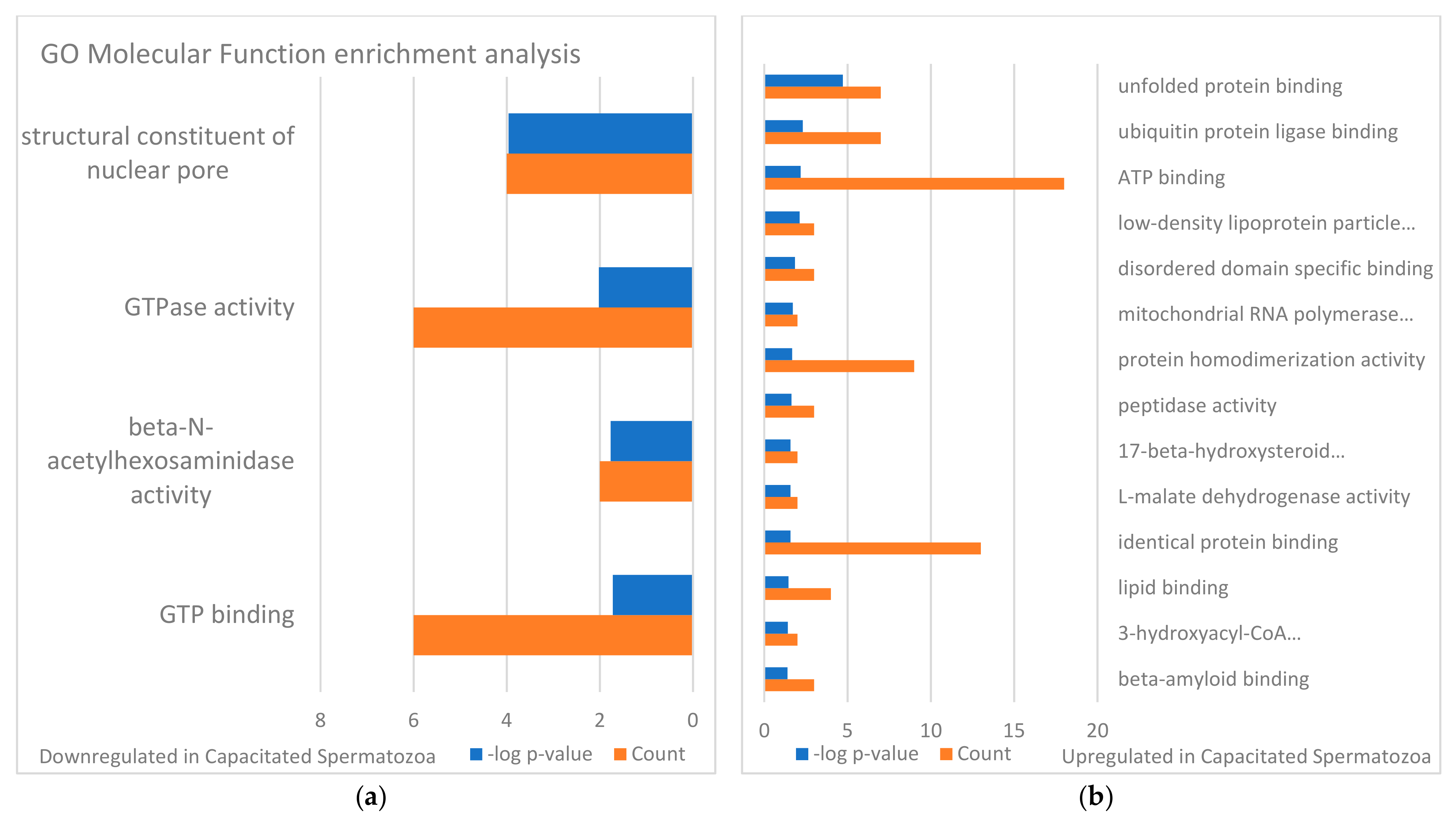 Biomolecules 13 00996 g008
