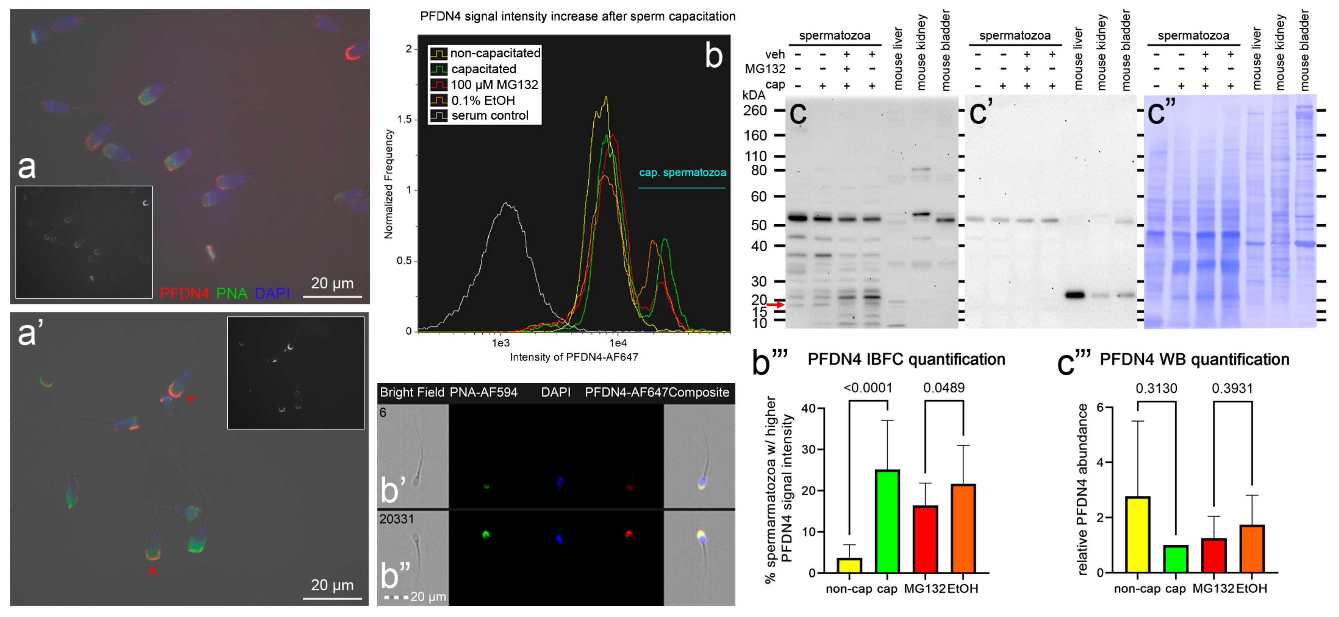 Biomolecules 13 00996 g010