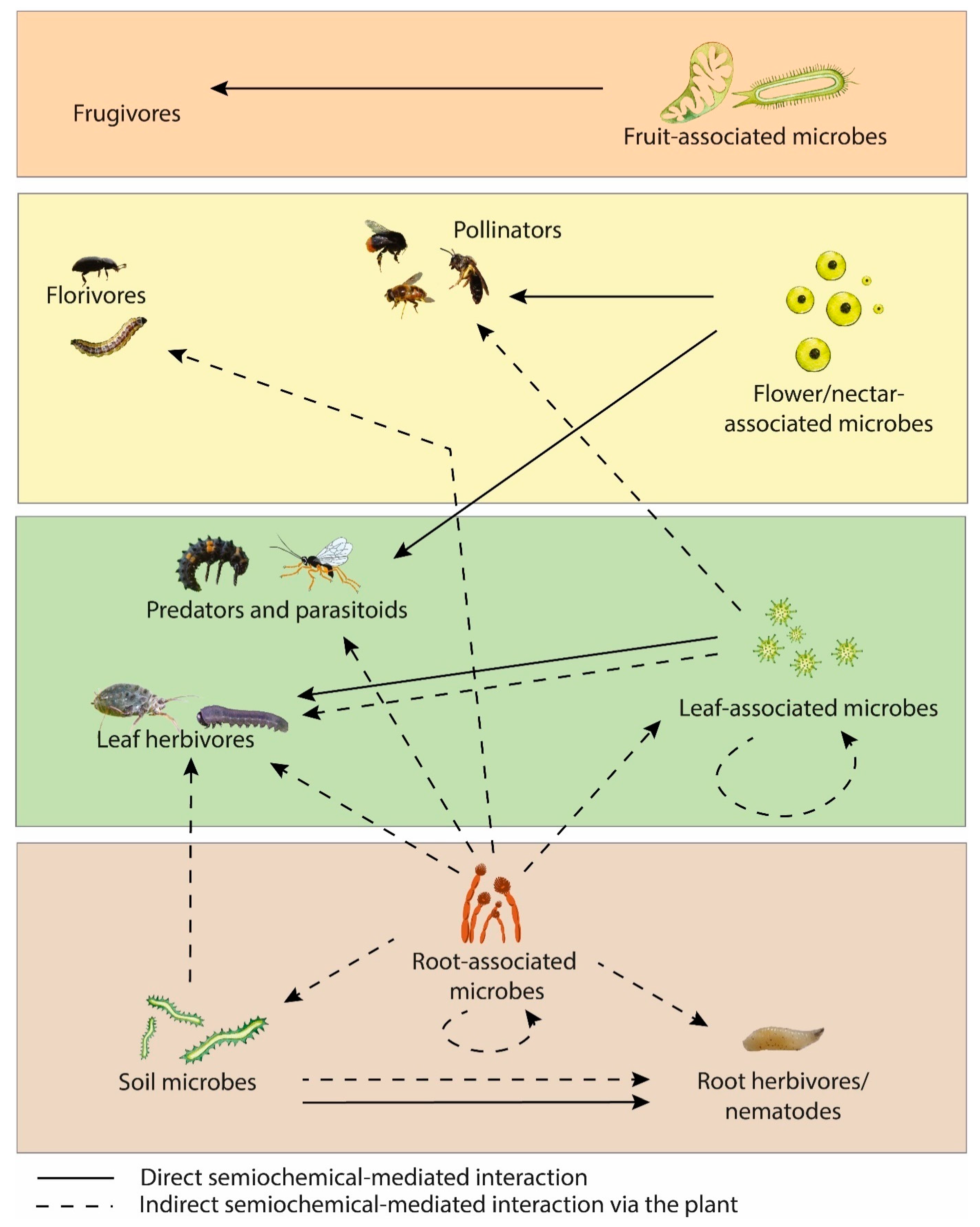 Biomolecules 13 00997 g002