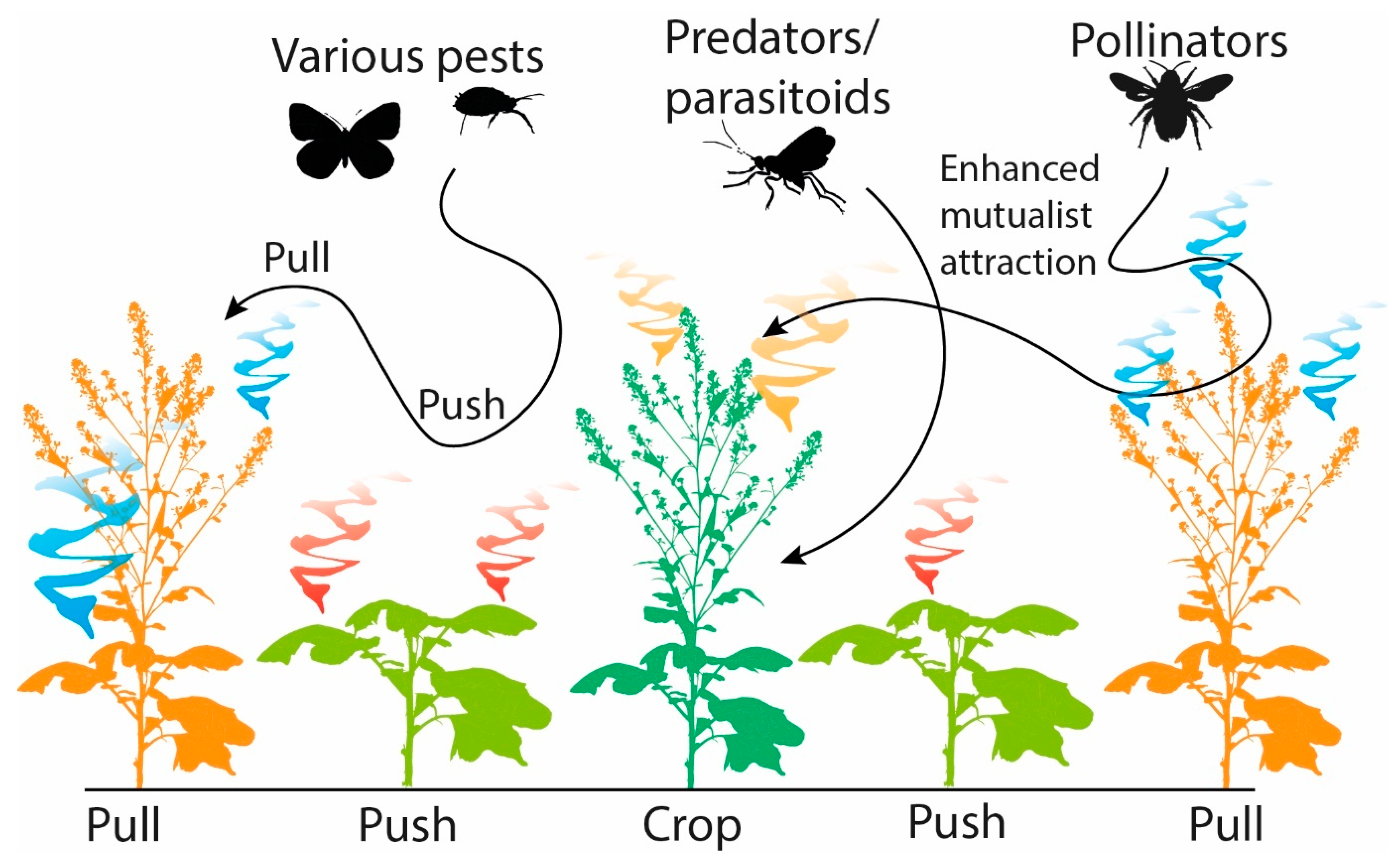 Biomolecules 13 00997 g003
