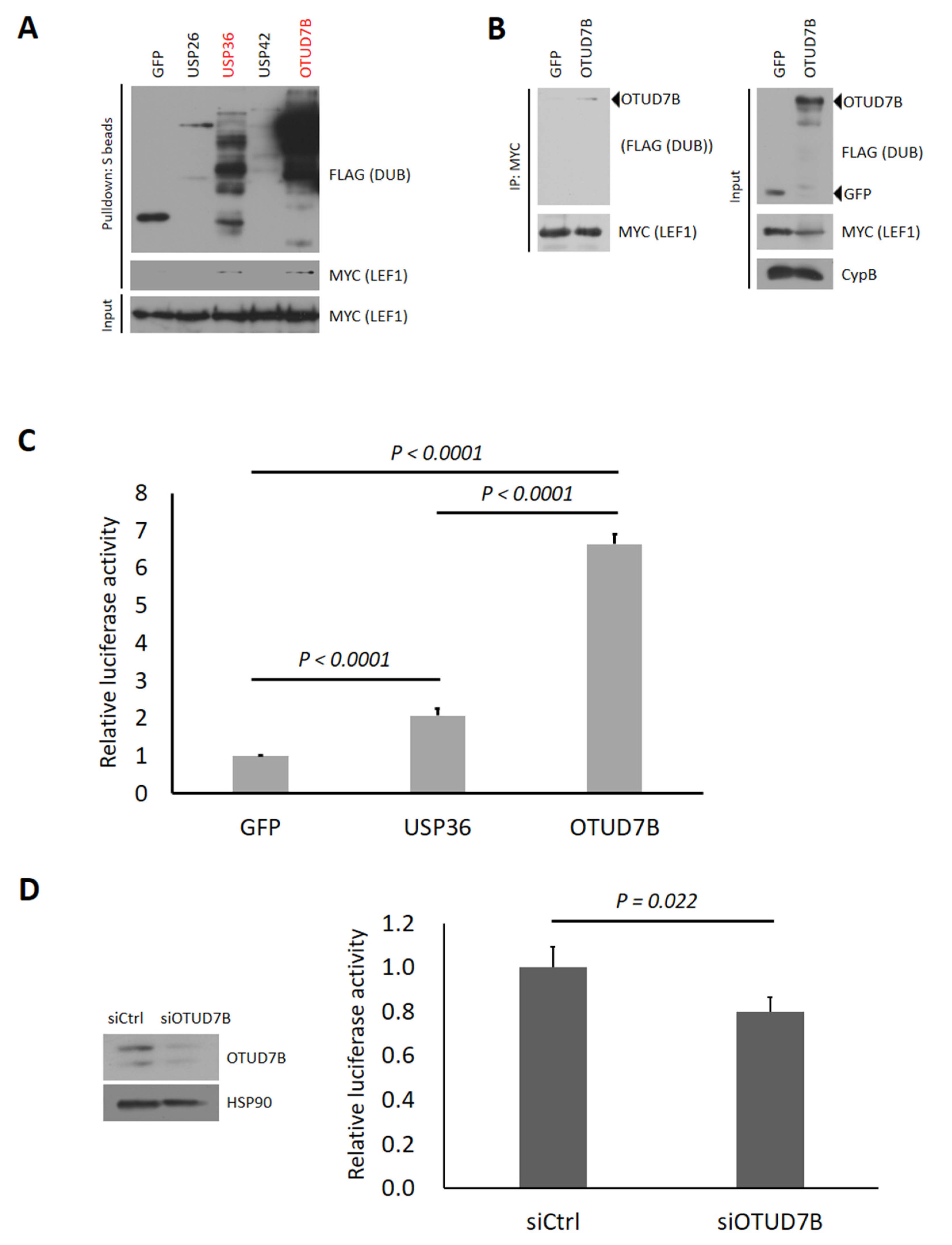 Biomolecules 13 01001 g001