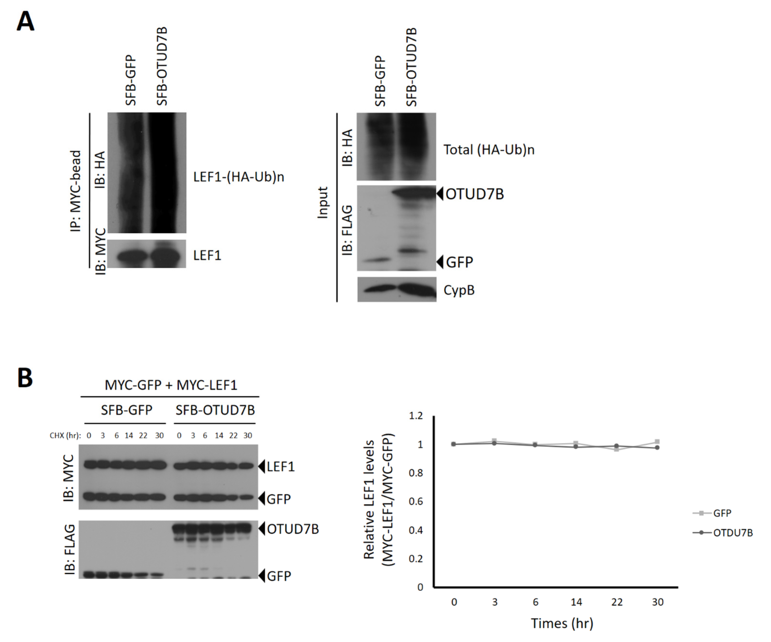 Biomolecules 13 01001 g003